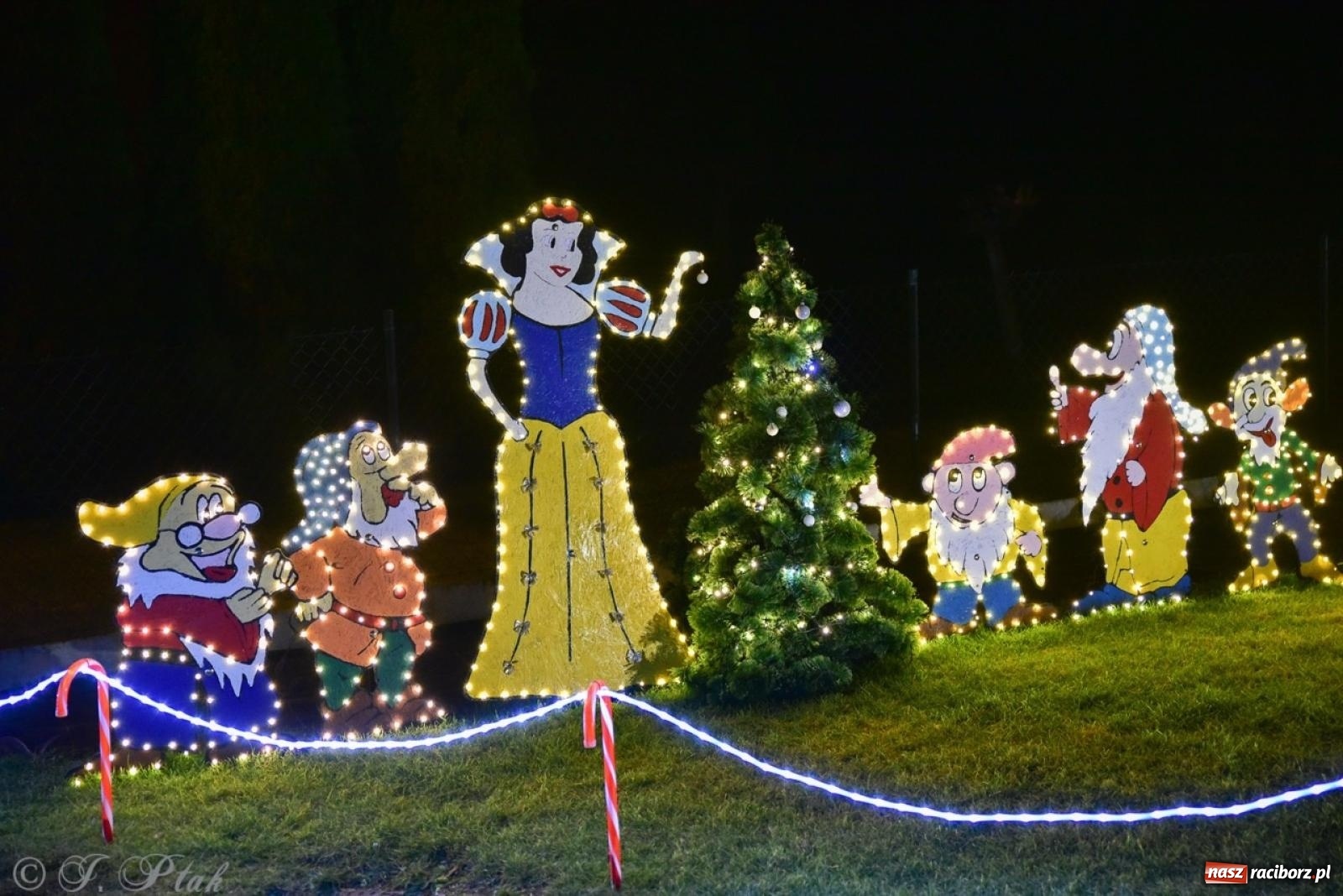 Zdjęcie w galerii na portalu naszraciborz.pl: Śląskie Griswoldowo, czyli Nowa Wioska zaprasza do świątecznego świata iluminacji wiadomości z regionu