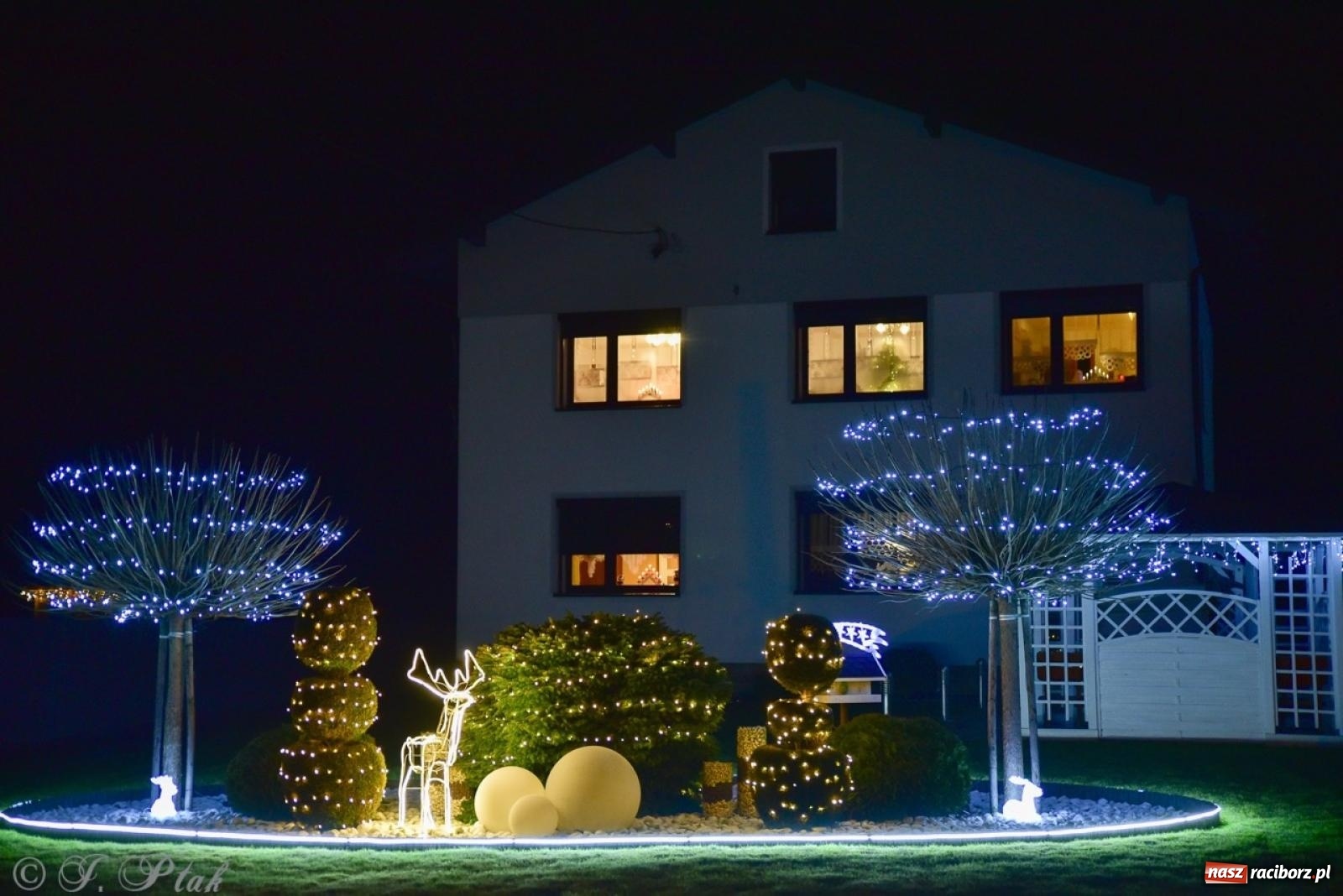 Zdjęcie w galerii na portalu naszraciborz.pl: Śląskie Griswoldowo, czyli Nowa Wioska zaprasza do świątecznego świata iluminacji wiadomości z regionu