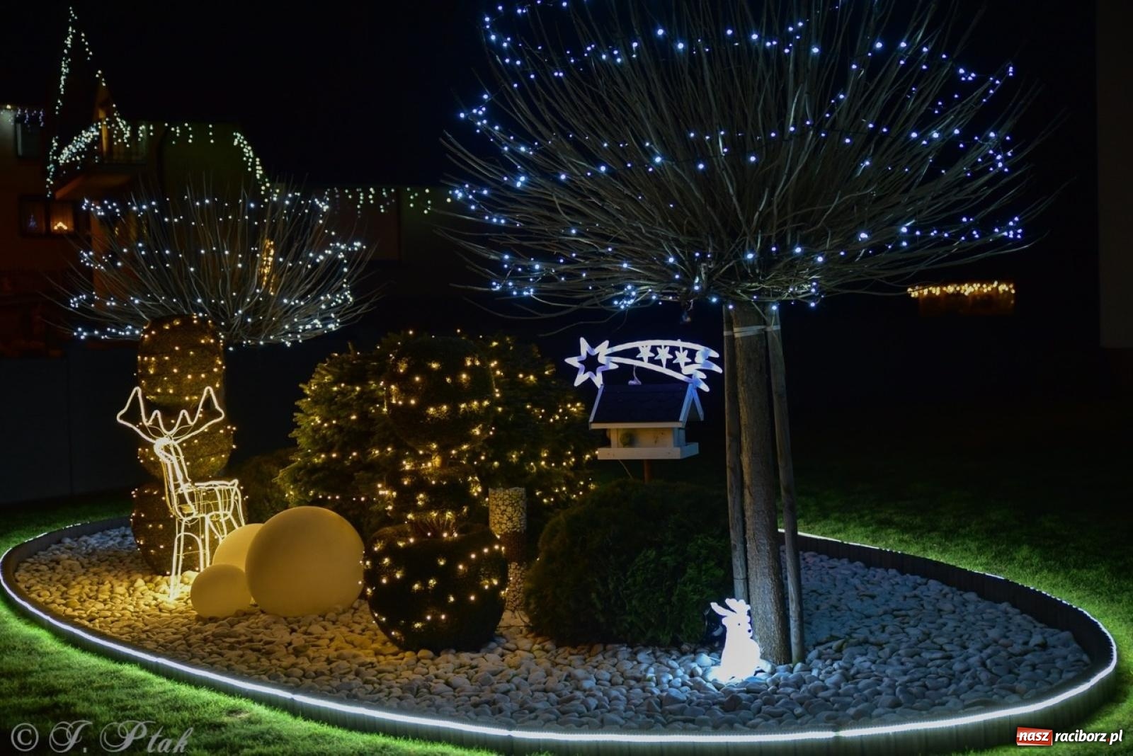 Zdjęcie w galerii na portalu naszraciborz.pl: Śląskie Griswoldowo, czyli Nowa Wioska zaprasza do świątecznego świata iluminacji wiadomości z regionu