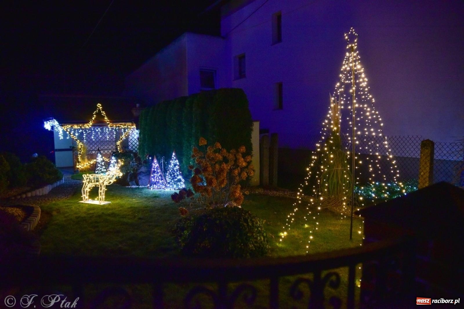 Zdjęcie w galerii na portalu naszraciborz.pl: Śląskie Griswoldowo, czyli Nowa Wioska zaprasza do świątecznego świata iluminacji wiadomości z regionu