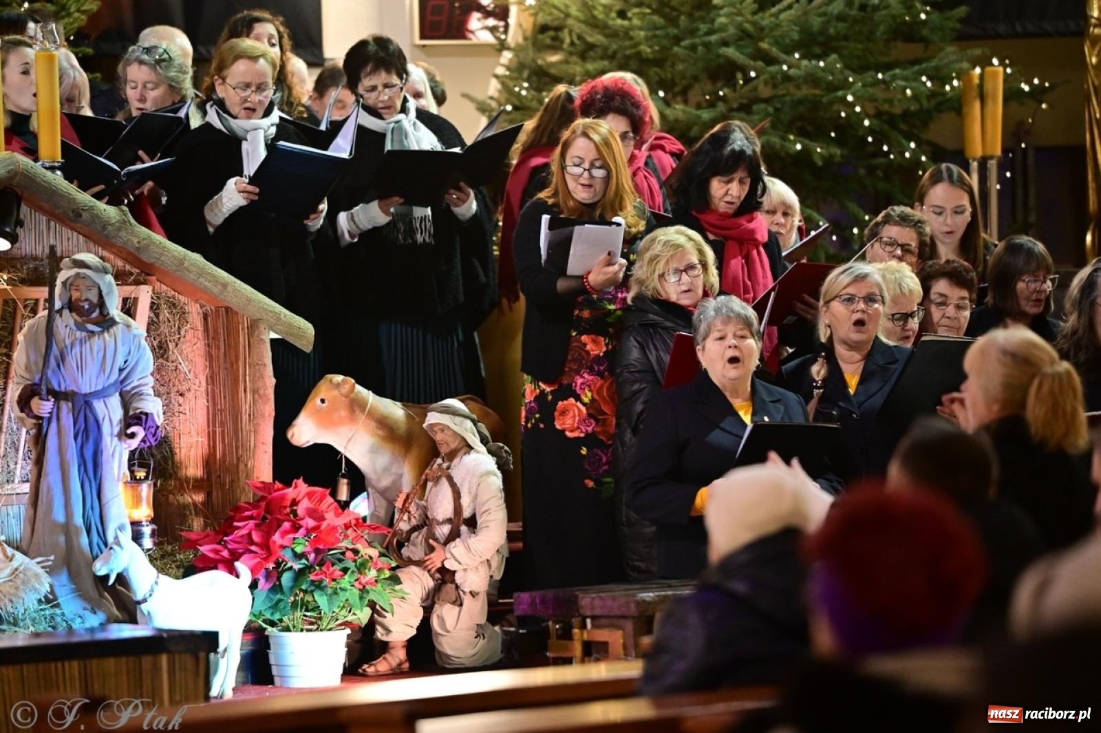Zdjęcie w galerii na portalu naszraciborz.pl: Wieczór Kolęd i Pastorałek w Raciborzu – przepiękny koncert w okrąglaku w świątecznej atmosferze wiadomości z regionu