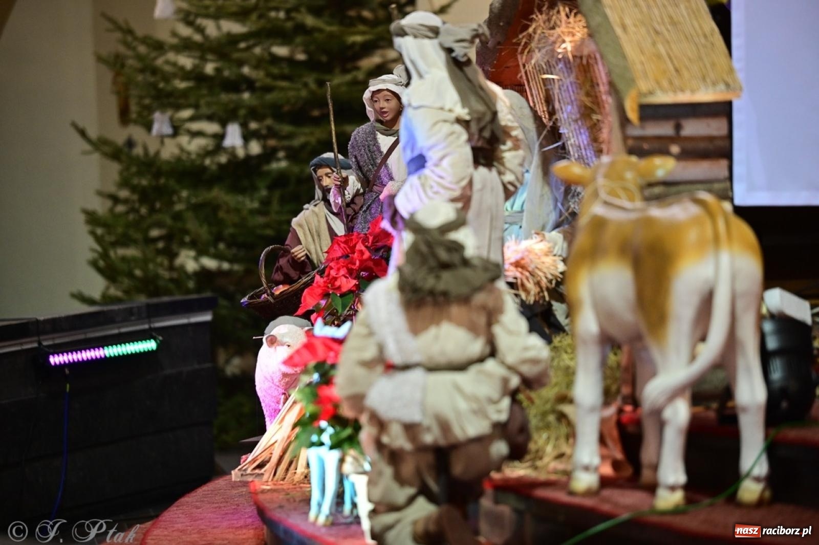 Zdjęcie w galerii na portalu naszraciborz.pl: Wieczór Kolęd i Pastorałek w Raciborzu – przepiękny koncert w okrąglaku w świątecznej atmosferze wiadomości z regionu