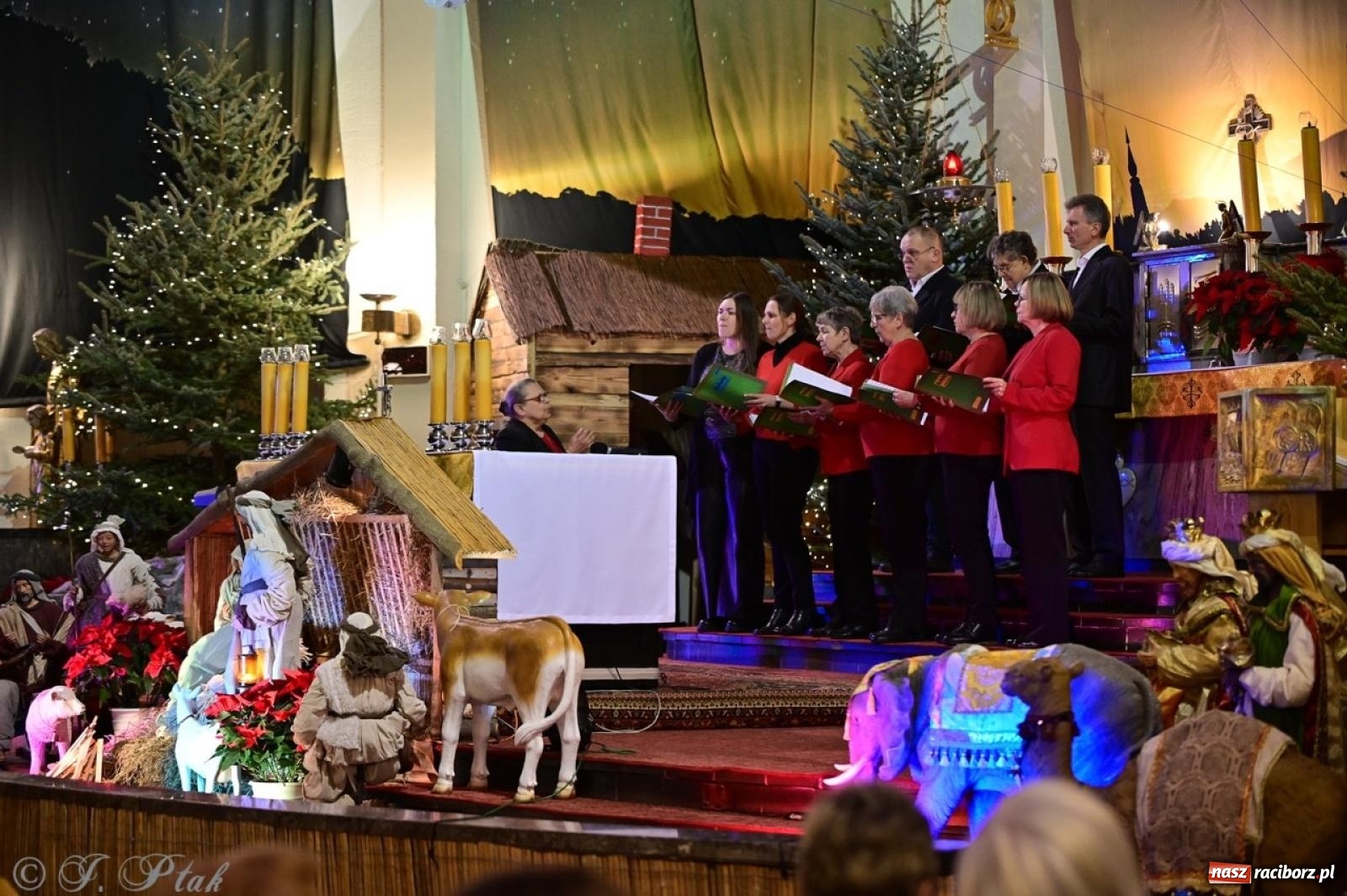 Zdjęcie w galerii na portalu naszraciborz.pl: Wieczór Kolęd i Pastorałek w Raciborzu – przepiękny koncert w okrąglaku w świątecznej atmosferze wiadomości z regionu