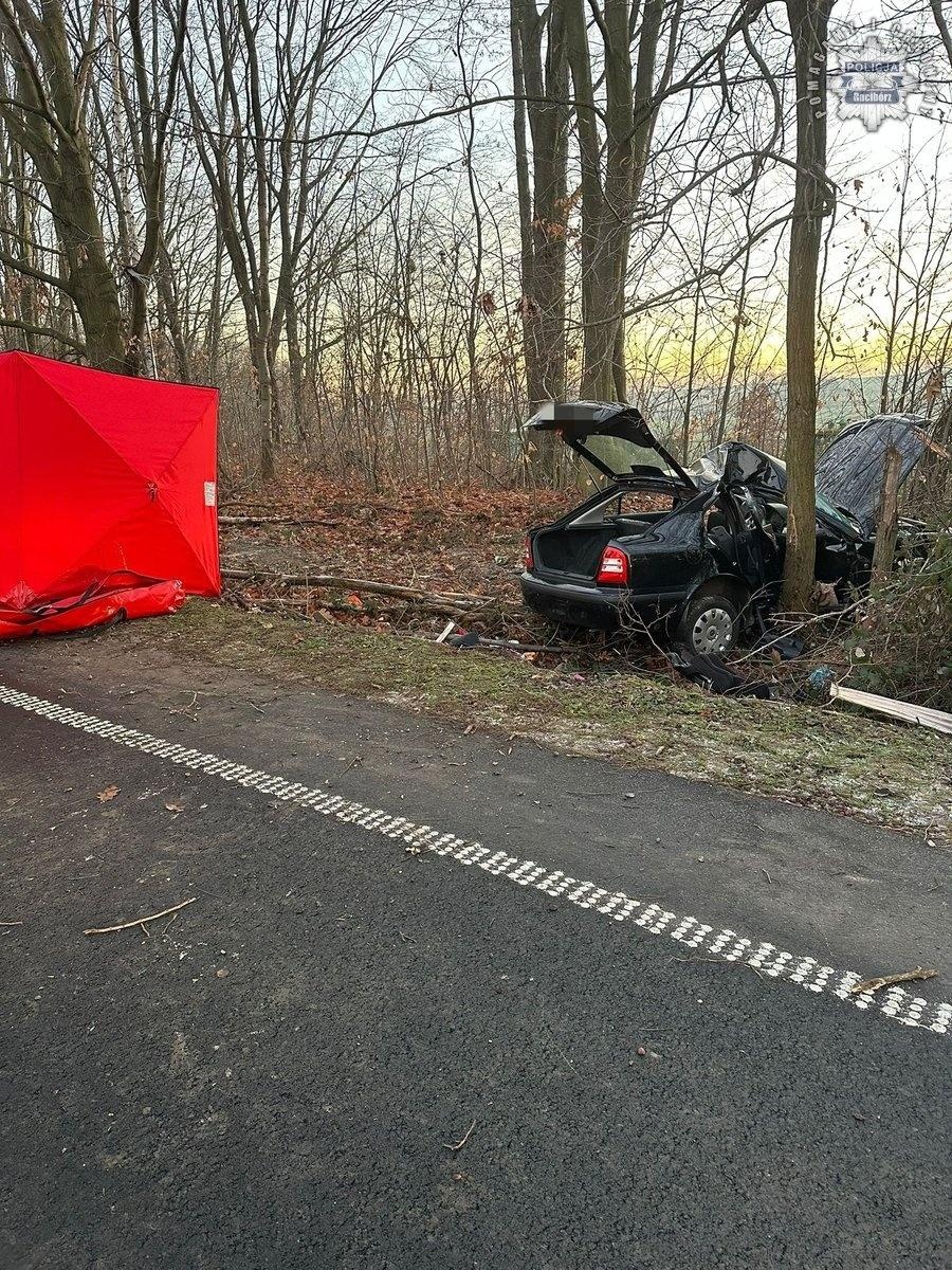 Zdjęcie w galerii na portalu naszraciborz.pl: Komunikat policji o wstępnych ustaleniach dotyczących przyczyn wypadku w Pietrowicach Wielkich wiadomości z regionu