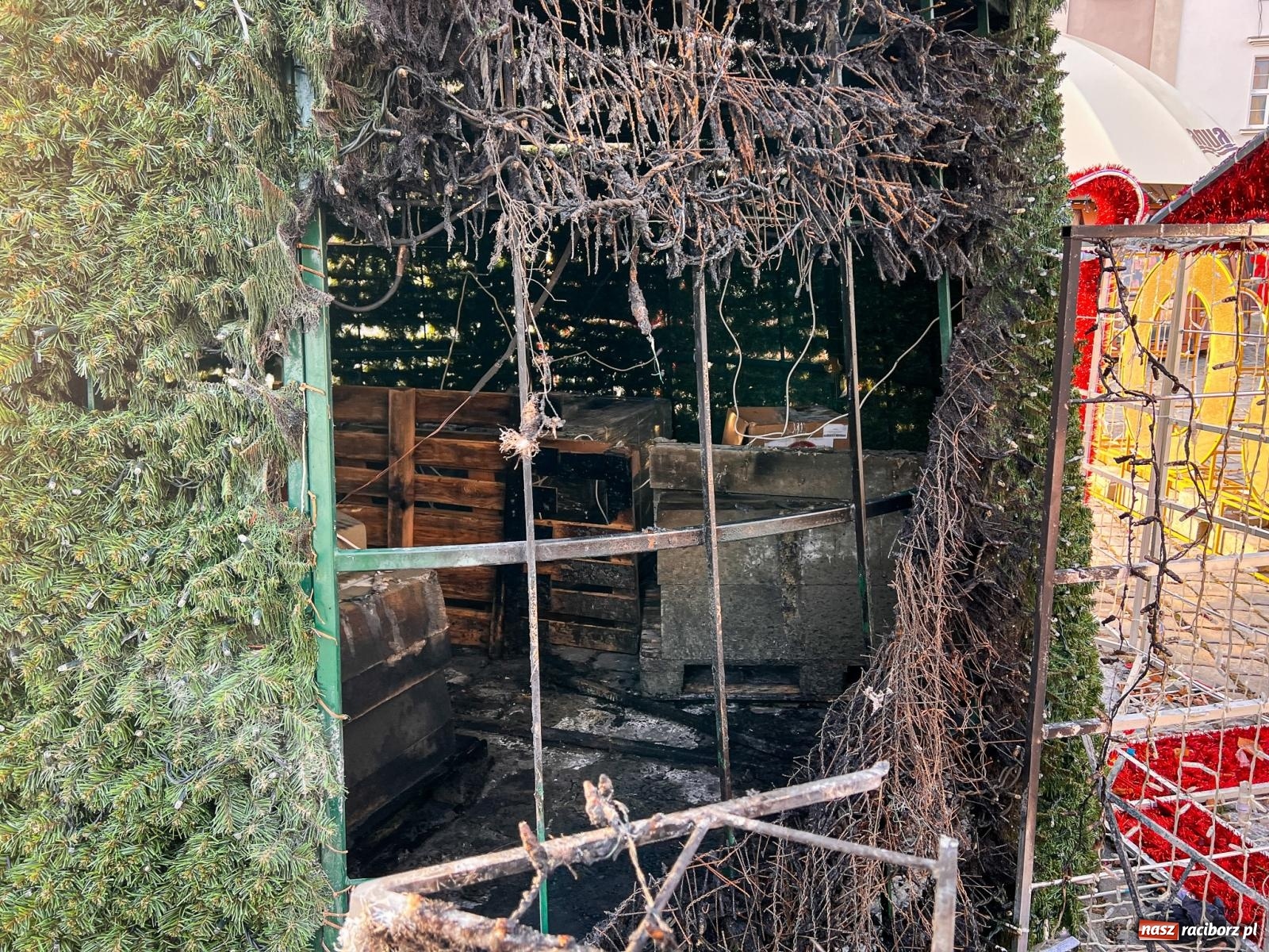 Zdjęcie w galerii na portalu naszraciborz.pl: Nocny pożar choinki na Rynku: 30 tys. zł strat, sprawcy brak i nauczka na przyszłość wiadomości z regionu