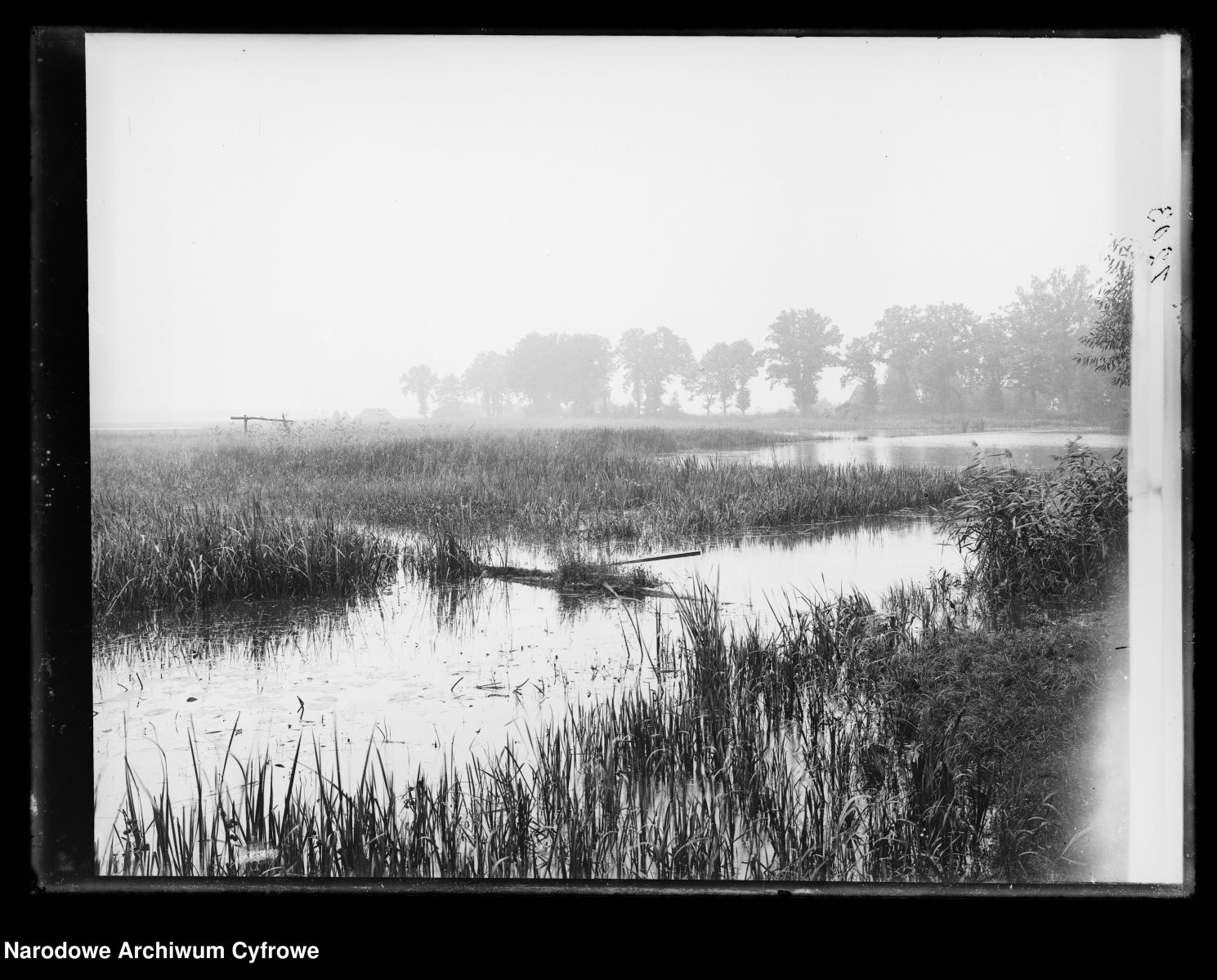 Zdjęcie w galerii na portalu naszraciborz.pl: Stare fotografie i skany dawnych pocztówek z Rud, Nędzy i Łężczoka – niezwykłe świadectwa przeszłości wiadomości z regionu