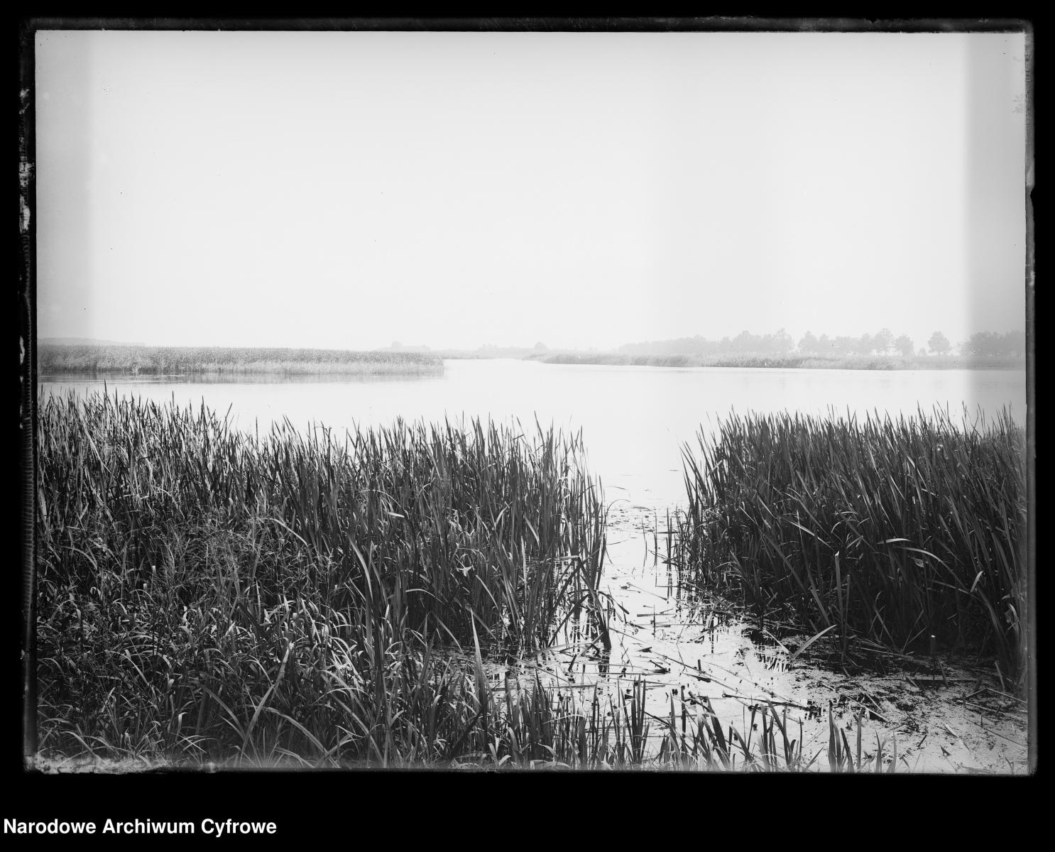 Zdjęcie w galerii na portalu naszraciborz.pl: Stare fotografie i skany dawnych pocztówek z Rud, Nędzy i Łężczoka – niezwykłe świadectwa przeszłości wiadomości z regionu