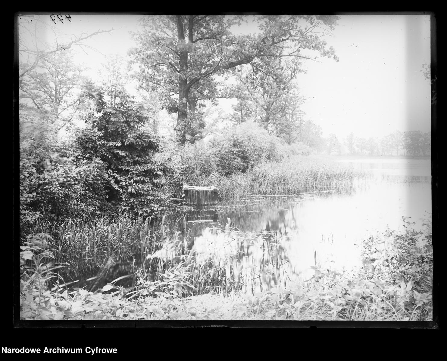 Zdjęcie w galerii na portalu naszraciborz.pl: Stare fotografie i skany dawnych pocztówek z Rud, Nędzy i Łężczoka – niezwykłe świadectwa przeszłości wiadomości z regionu