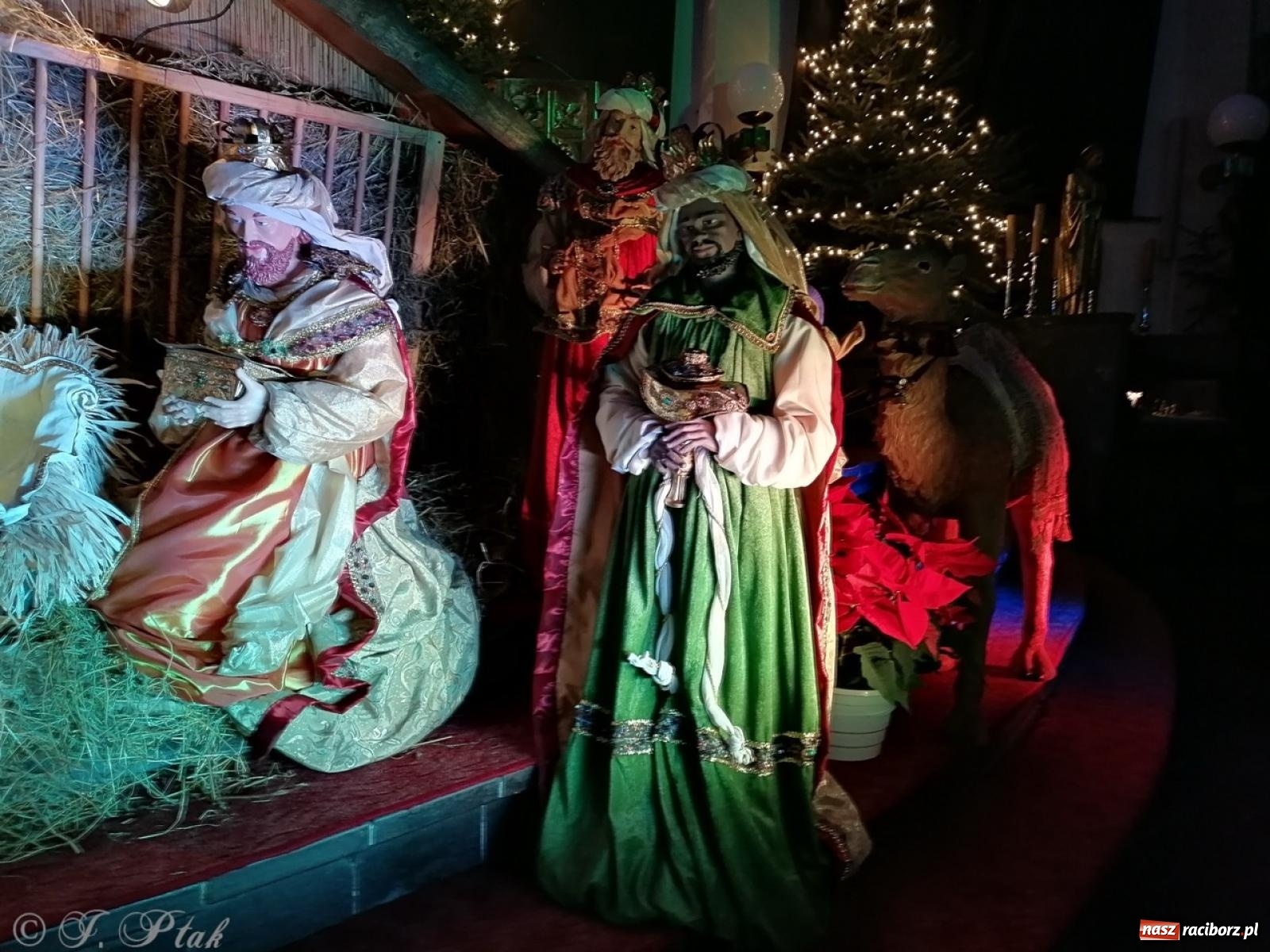 Zdjęcie w galerii na portalu naszraciborz.pl: Raciborski Orszak Trzech Króli przeszedł ulicami miasta [FOTO i WIDEO] wiadomości z regionu