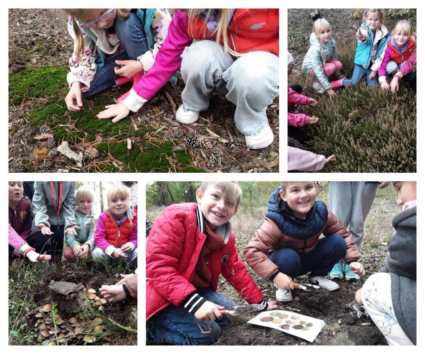 Zdjęcie w galerii na portalu naszraciborz.pl: Nagroda Planety Energii dla Szkoły Podstawowej w Nędzy! wiadomości z regionu