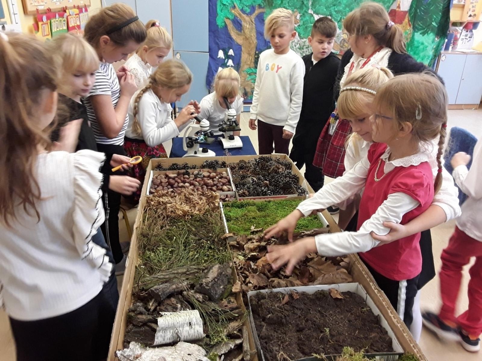 Zdjęcie w galerii na portalu naszraciborz.pl: Nagroda Planety Energii dla Szkoły Podstawowej w Nędzy! wiadomości z regionu