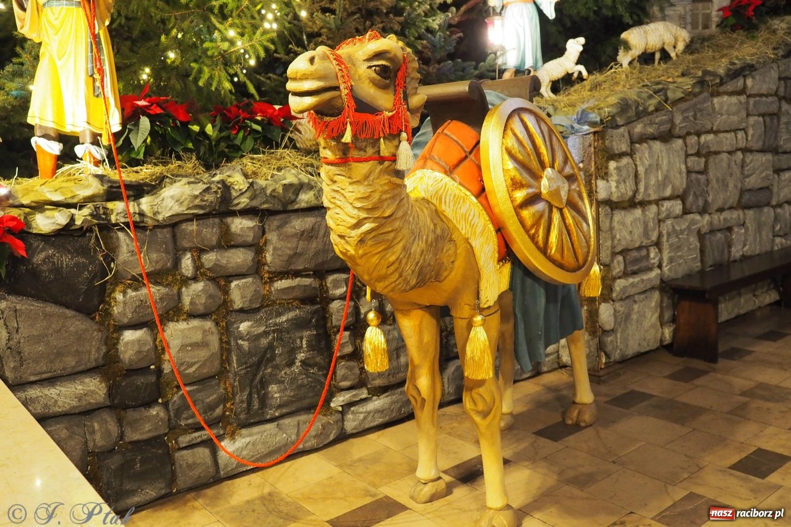 Zdjęcie w galerii na portalu naszraciborz.pl: Franciszkańskie szopki bożonarodzeniowe – tradycja i piękno także w Raciborzu wiadomości z regionu