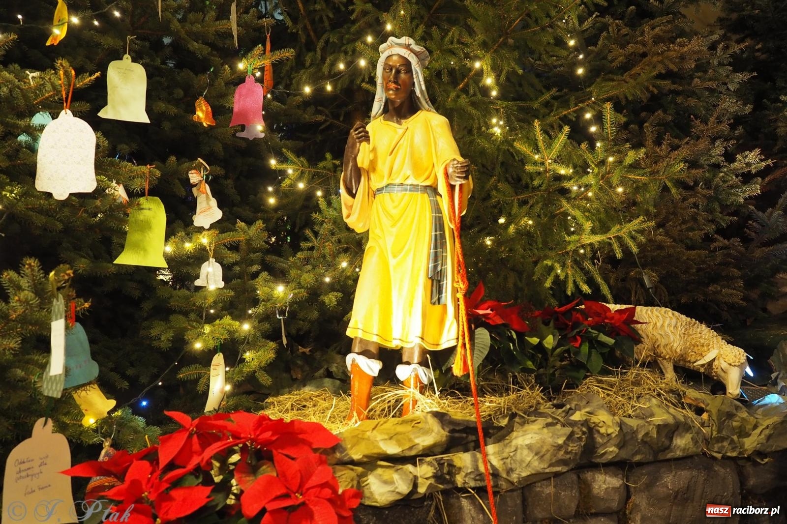 Zdjęcie w galerii na portalu naszraciborz.pl: Franciszkańskie szopki bożonarodzeniowe – tradycja i piękno także w Raciborzu wiadomości z regionu