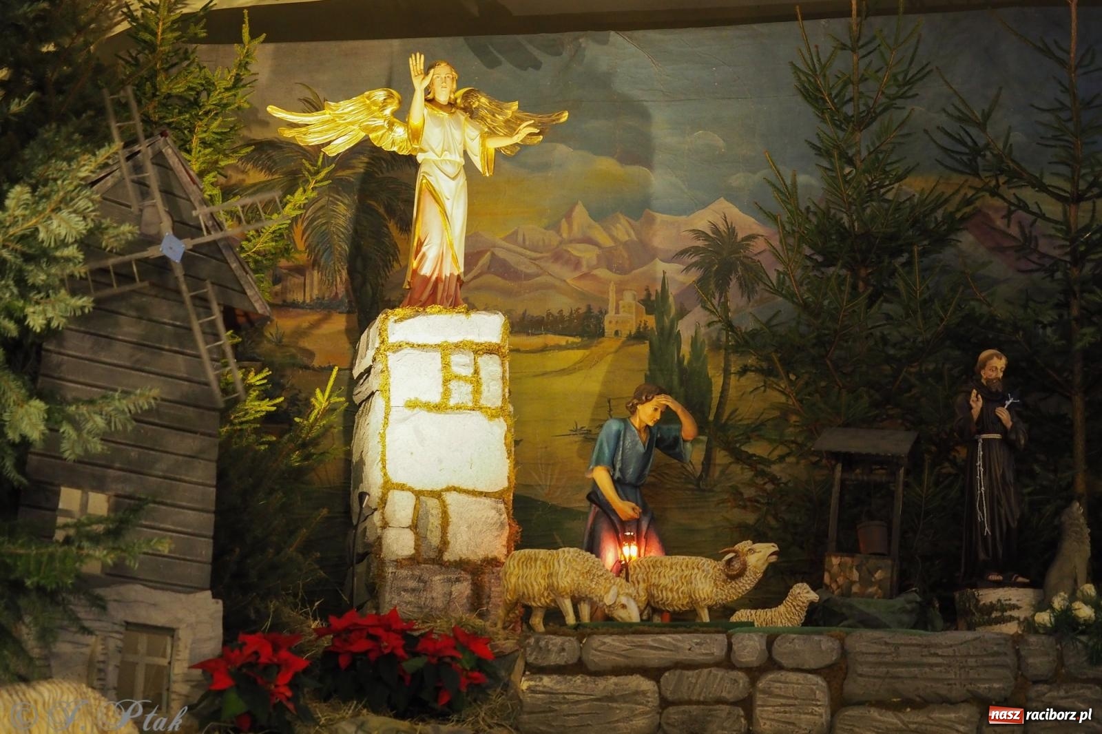 Zdjęcie w galerii na portalu naszraciborz.pl: Franciszkańskie szopki bożonarodzeniowe – tradycja i piękno także w Raciborzu wiadomości z regionu