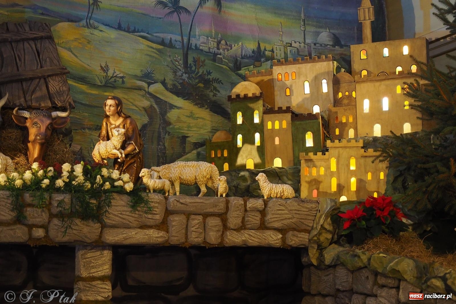 Zdjęcie w galerii na portalu naszraciborz.pl: Franciszkańskie szopki bożonarodzeniowe – tradycja i piękno także w Raciborzu wiadomości z regionu
