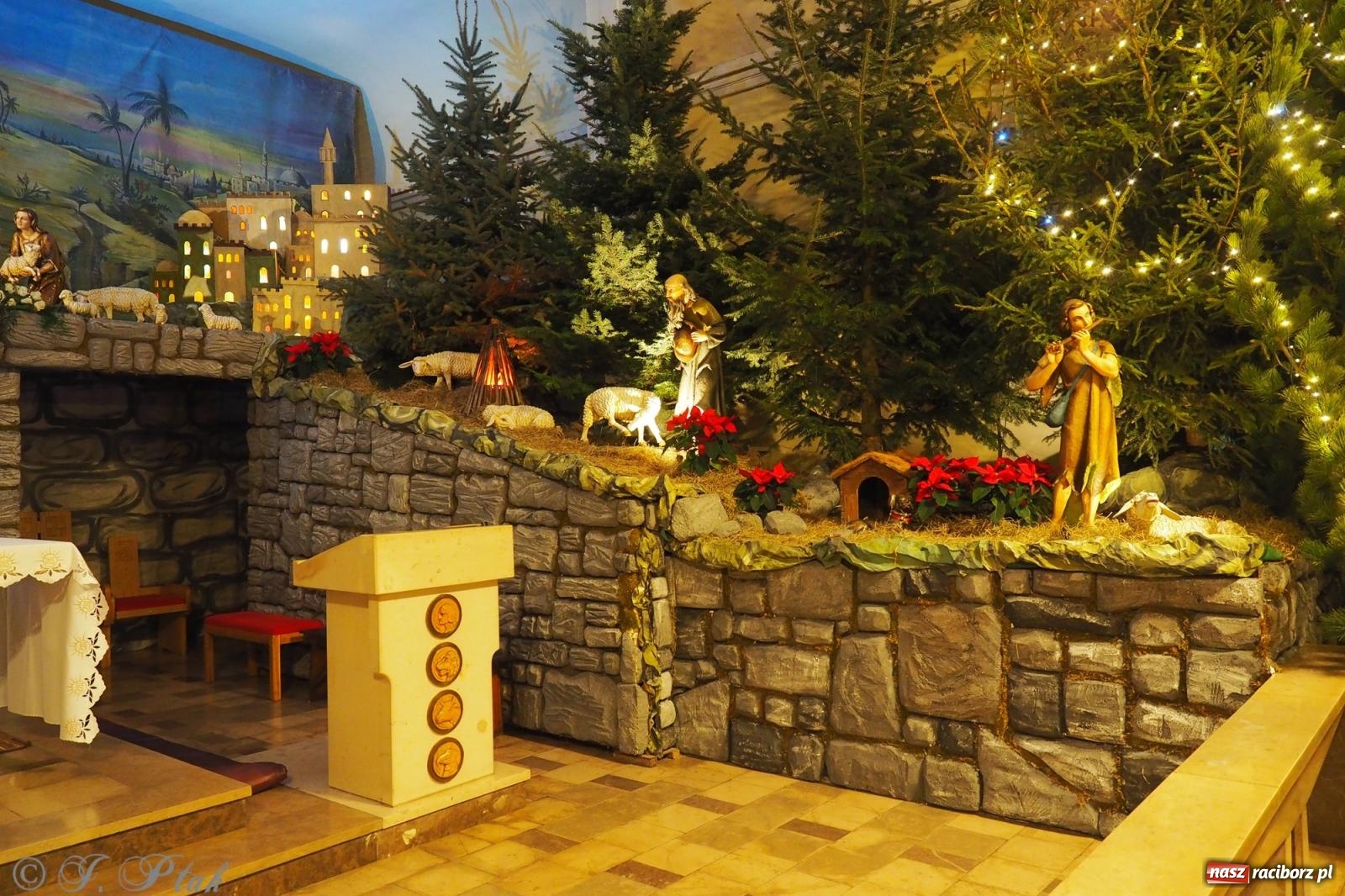 Zdjęcie w galerii na portalu naszraciborz.pl: Franciszkańskie szopki bożonarodzeniowe – tradycja i piękno także w Raciborzu wiadomości z regionu