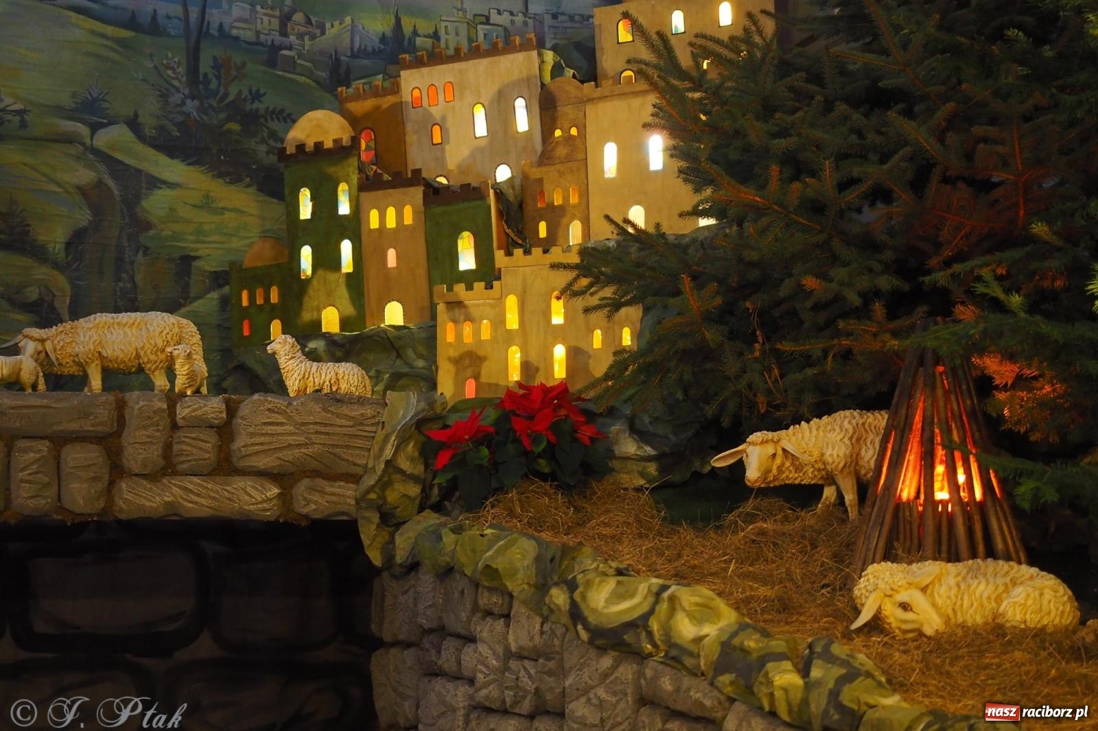 Zdjęcie w galerii na portalu naszraciborz.pl: Franciszkańskie szopki bożonarodzeniowe – tradycja i piękno także w Raciborzu wiadomości z regionu