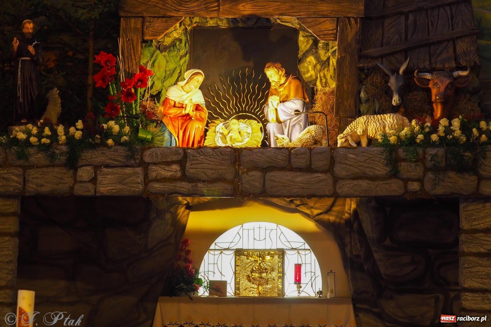 Zdjęcie w galerii na portalu naszraciborz.pl: Franciszkańskie szopki bożonarodzeniowe – tradycja i piękno także w Raciborzu wiadomości z regionu