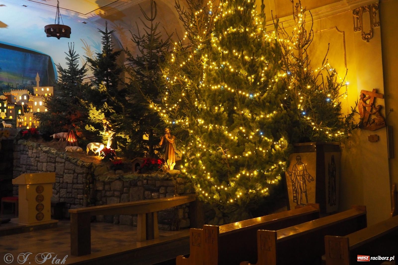 Zdjęcie w galerii na portalu naszraciborz.pl: Franciszkańskie szopki bożonarodzeniowe – tradycja i piękno także w Raciborzu wiadomości z regionu