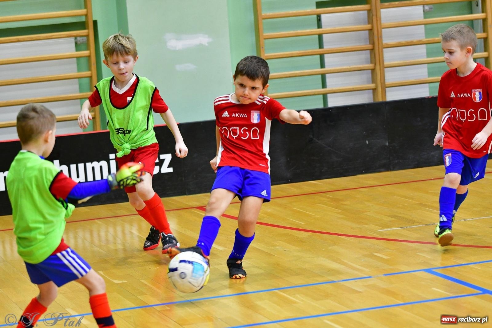 Zdjęcie w galerii na portalu naszraciborz.pl: Junior Futsal Cup. Zmagania skrzatów w hali OSiR Racibórz [FOTO] wiadomości z regionu