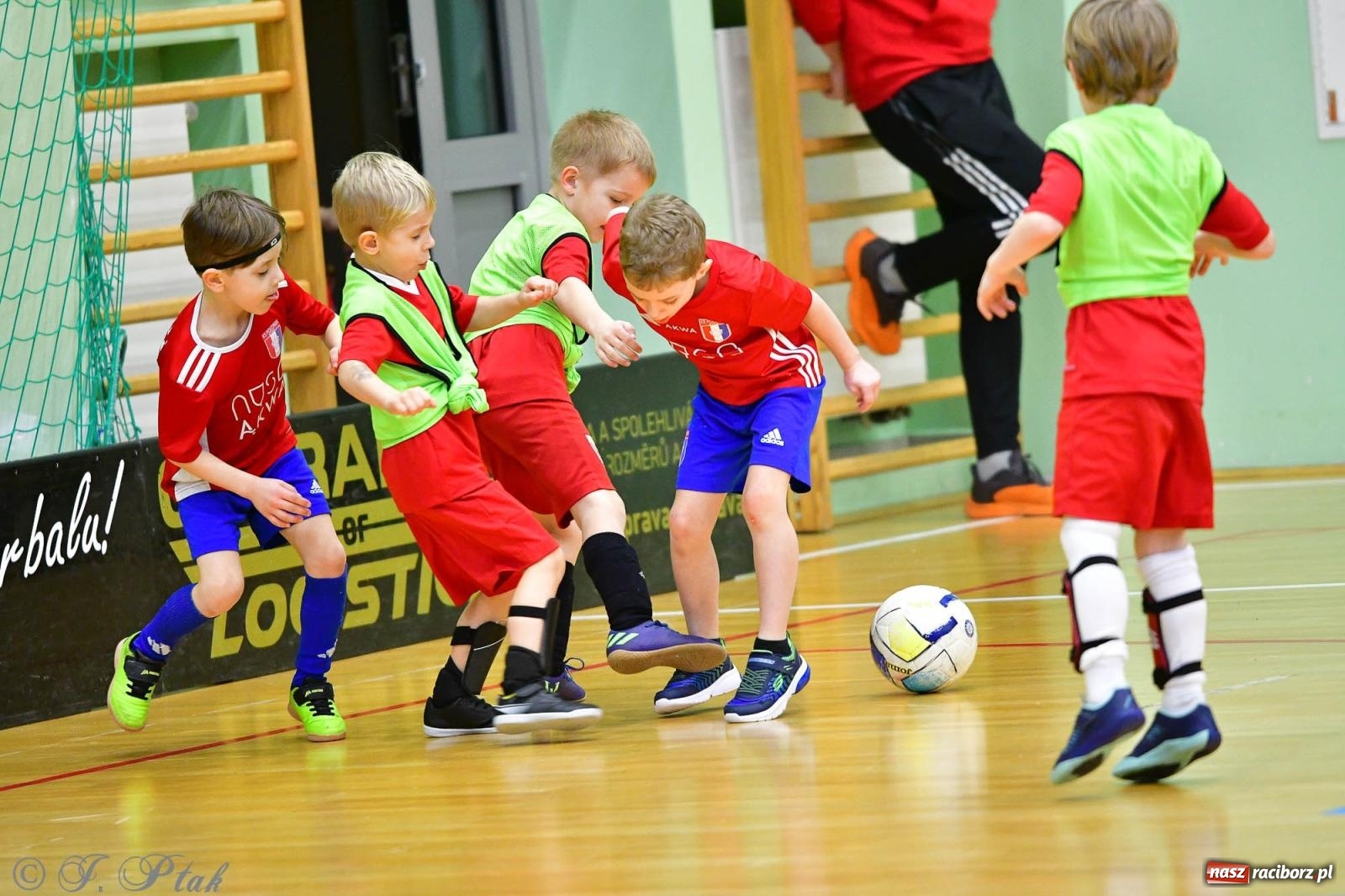 Zdjęcie w galerii na portalu naszraciborz.pl: Junior Futsal Cup. Zmagania skrzatów w hali OSiR Racibórz [FOTO] wiadomości z regionu