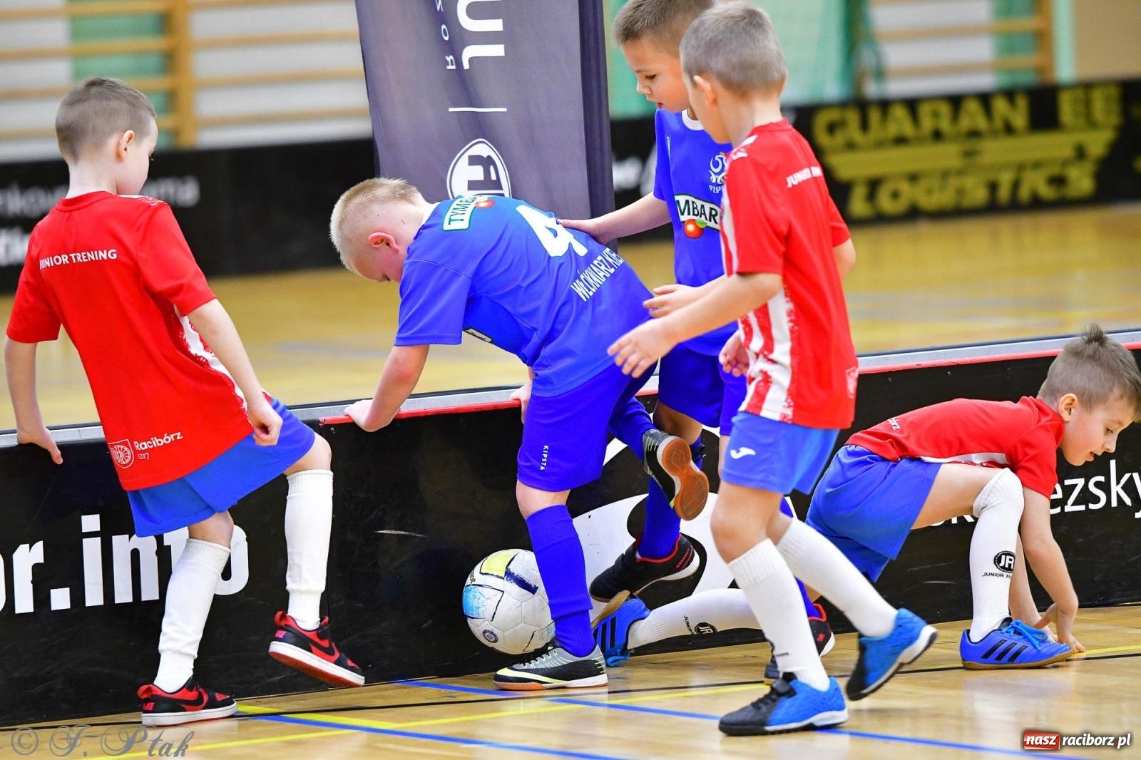 Zdjęcie w galerii na portalu naszraciborz.pl: Junior Futsal Cup. Zmagania skrzatów w hali OSiR Racibórz [FOTO] wiadomości z regionu
