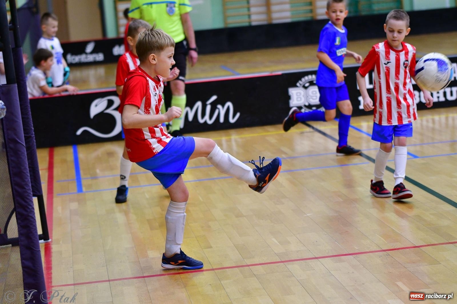 Zdjęcie w galerii na portalu naszraciborz.pl: Junior Futsal Cup. Zmagania skrzatów w hali OSiR Racibórz [FOTO] wiadomości z regionu