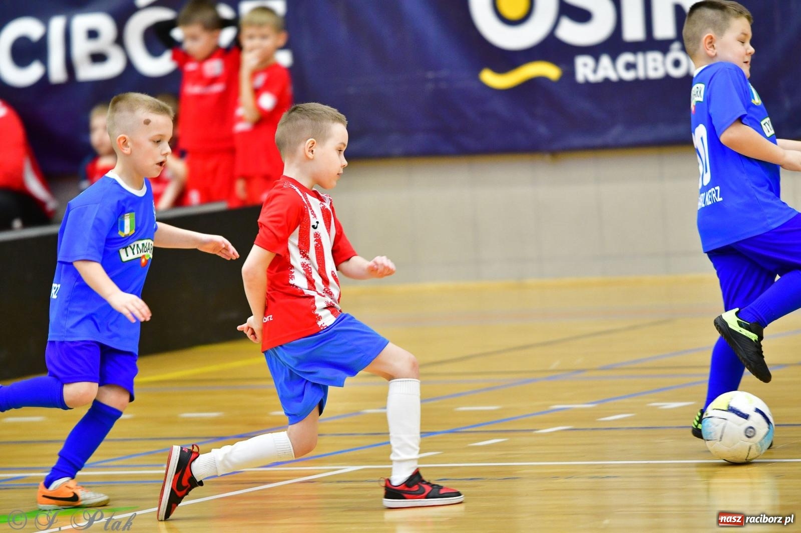 Zdjęcie w galerii na portalu naszraciborz.pl: Junior Futsal Cup. Zmagania skrzatów w hali OSiR Racibórz [FOTO] wiadomości z regionu