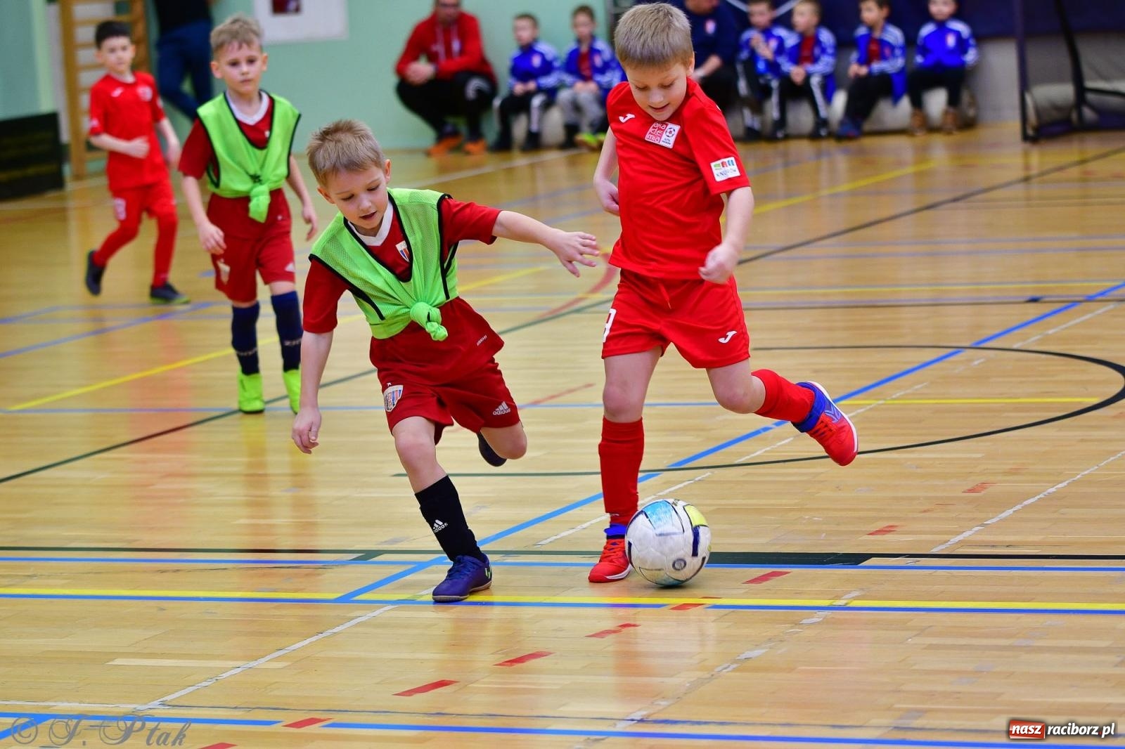 Zdjęcie w galerii na portalu naszraciborz.pl: Junior Futsal Cup. Zmagania skrzatów w hali OSiR Racibórz [FOTO] wiadomości z regionu