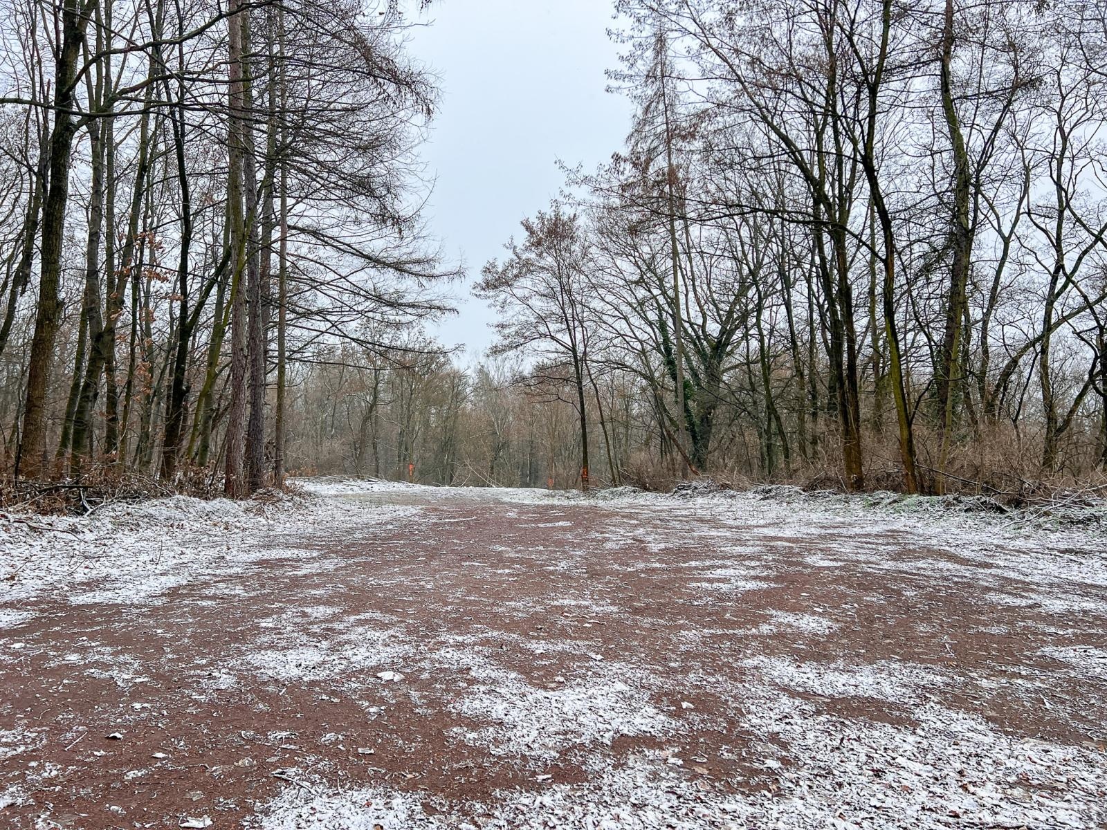 Zdjęcie w galerii na portalu naszraciborz.pl: Gruzowisko uprzątnięte. W lesie Widok ma ruszyć budowa wiadomości z regionu