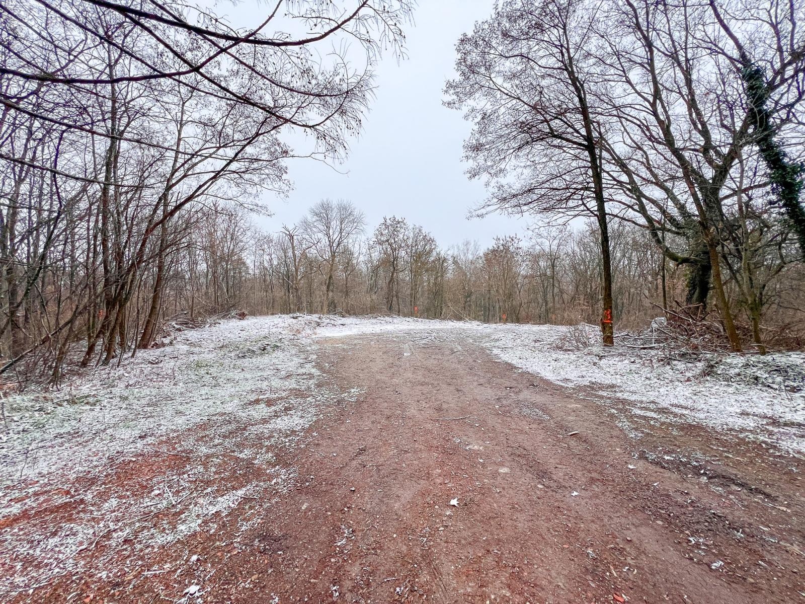 Zdjęcie w galerii na portalu naszraciborz.pl: Gruzowisko uprzątnięte. W lesie Widok ma ruszyć budowa wiadomości z regionu