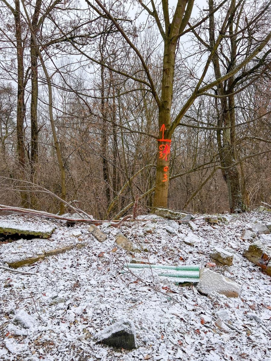 Zdjęcie w galerii na portalu naszraciborz.pl: Gruzowisko uprzątnięte. W lesie Widok ma ruszyć budowa wiadomości z regionu