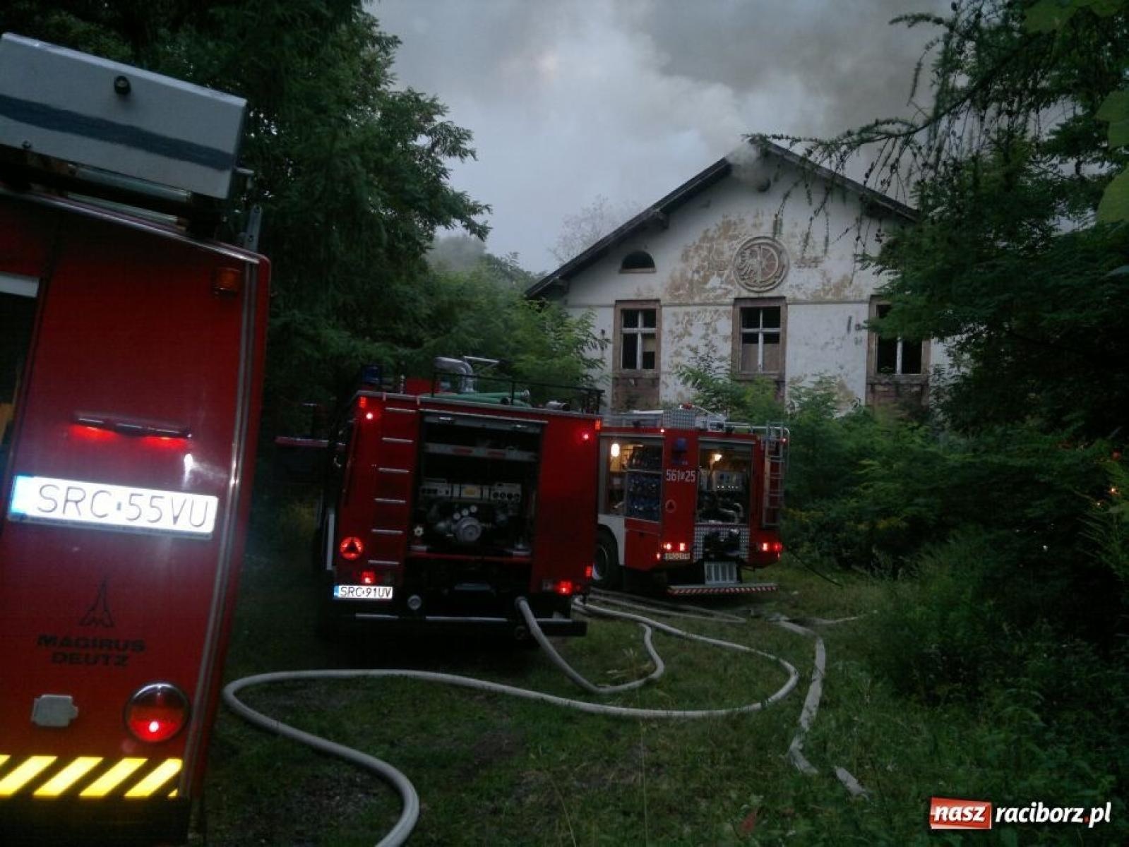 Zdjęcie w galerii na portalu naszraciborz.pl: Gruzowisko uprzątnięte. W lesie Widok ma ruszyć budowa wiadomości z regionu
