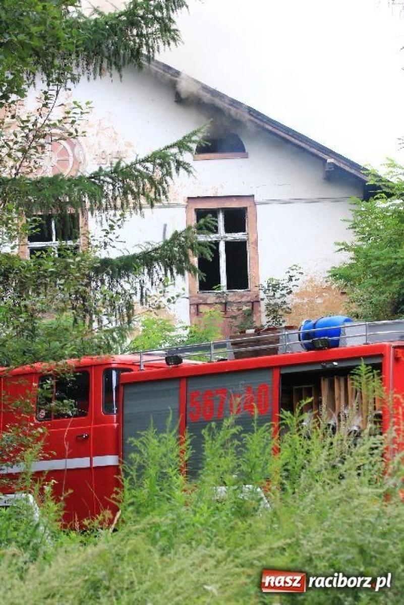 Zdjęcie w galerii na portalu naszraciborz.pl: Gruzowisko uprzątnięte. W lesie Widok ma ruszyć budowa wiadomości z regionu