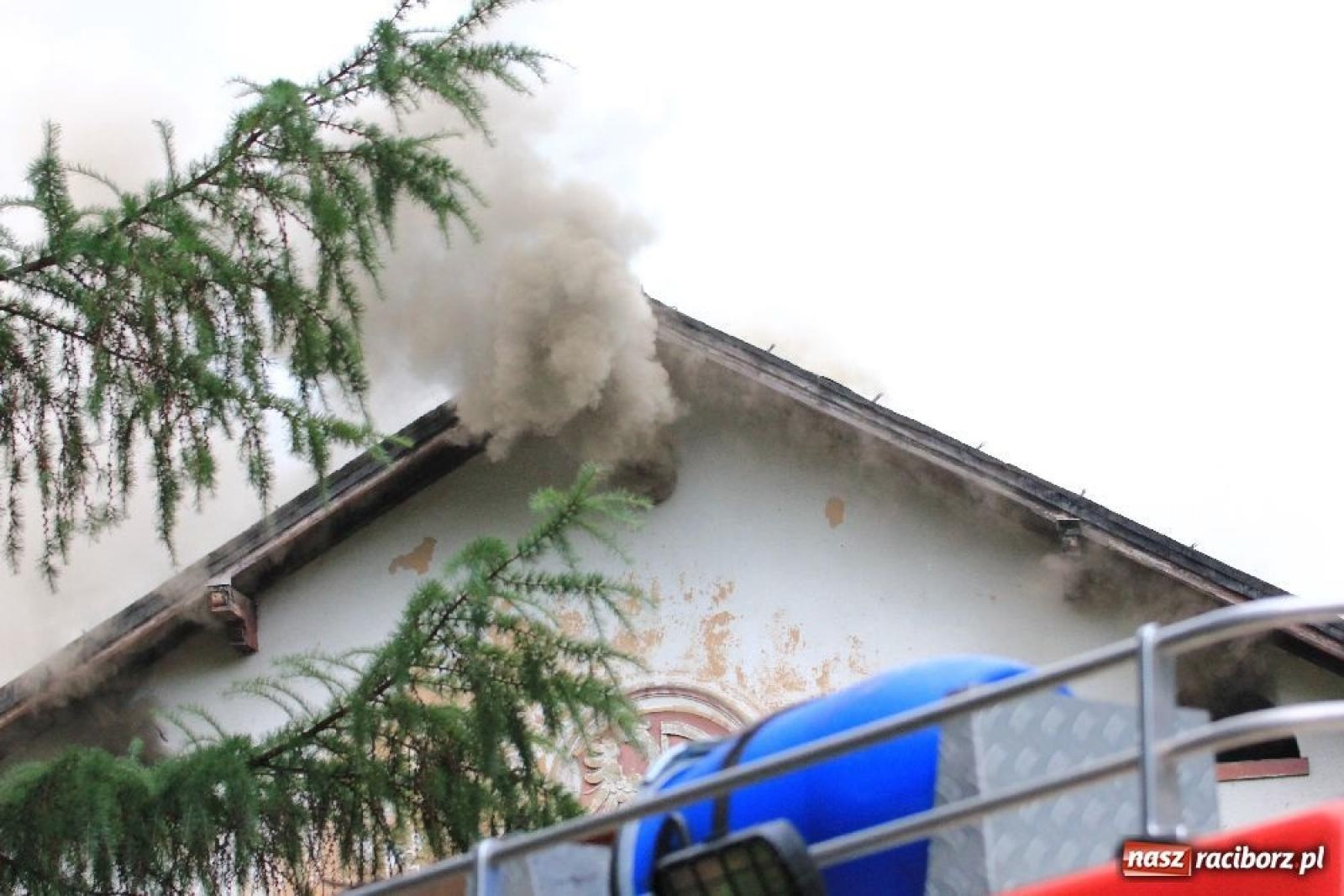 Zdjęcie w galerii na portalu naszraciborz.pl: Gruzowisko uprzątnięte. W lesie Widok ma ruszyć budowa wiadomości z regionu