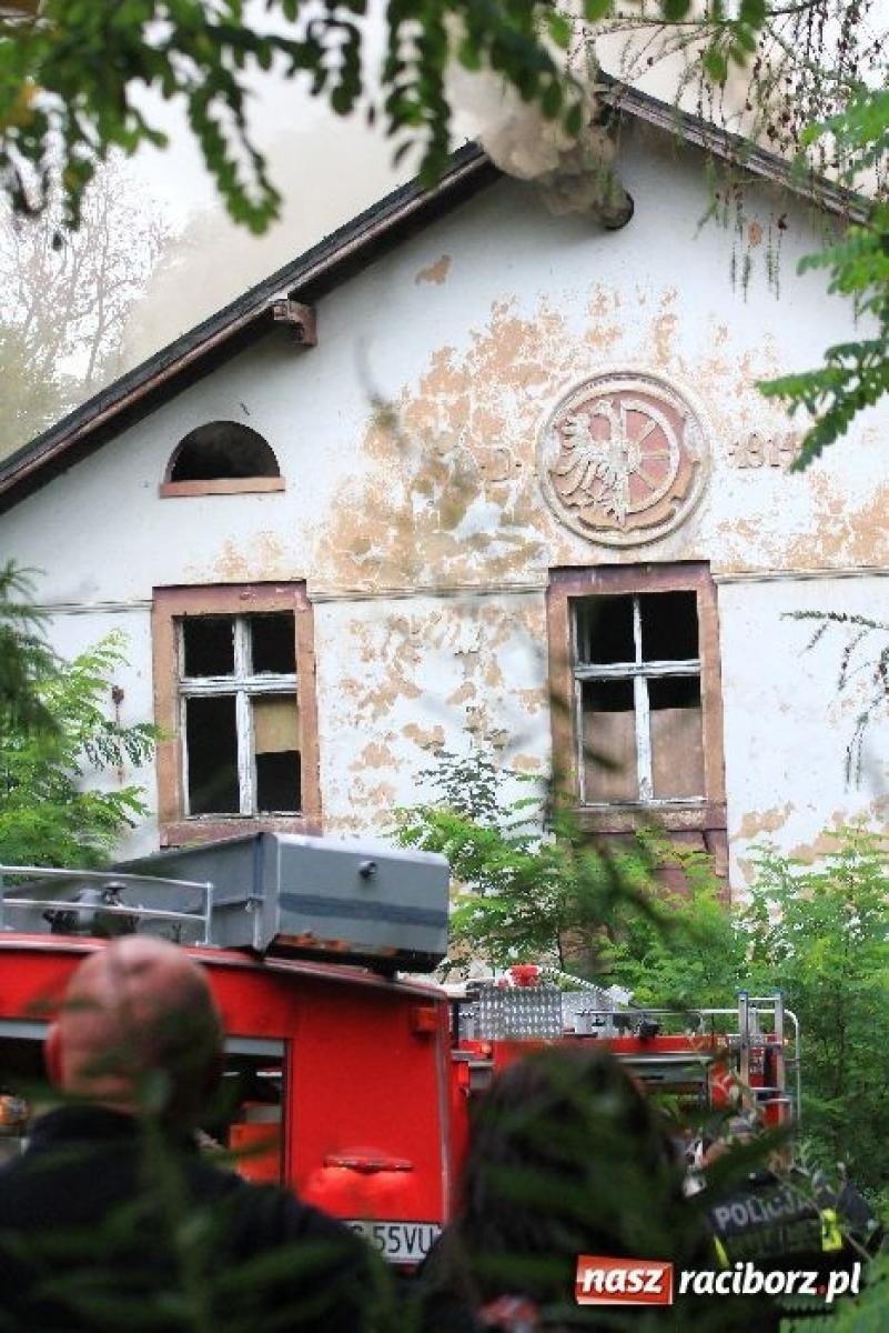 Zdjęcie w galerii na portalu naszraciborz.pl: Gruzowisko uprzątnięte. W lesie Widok ma ruszyć budowa wiadomości z regionu