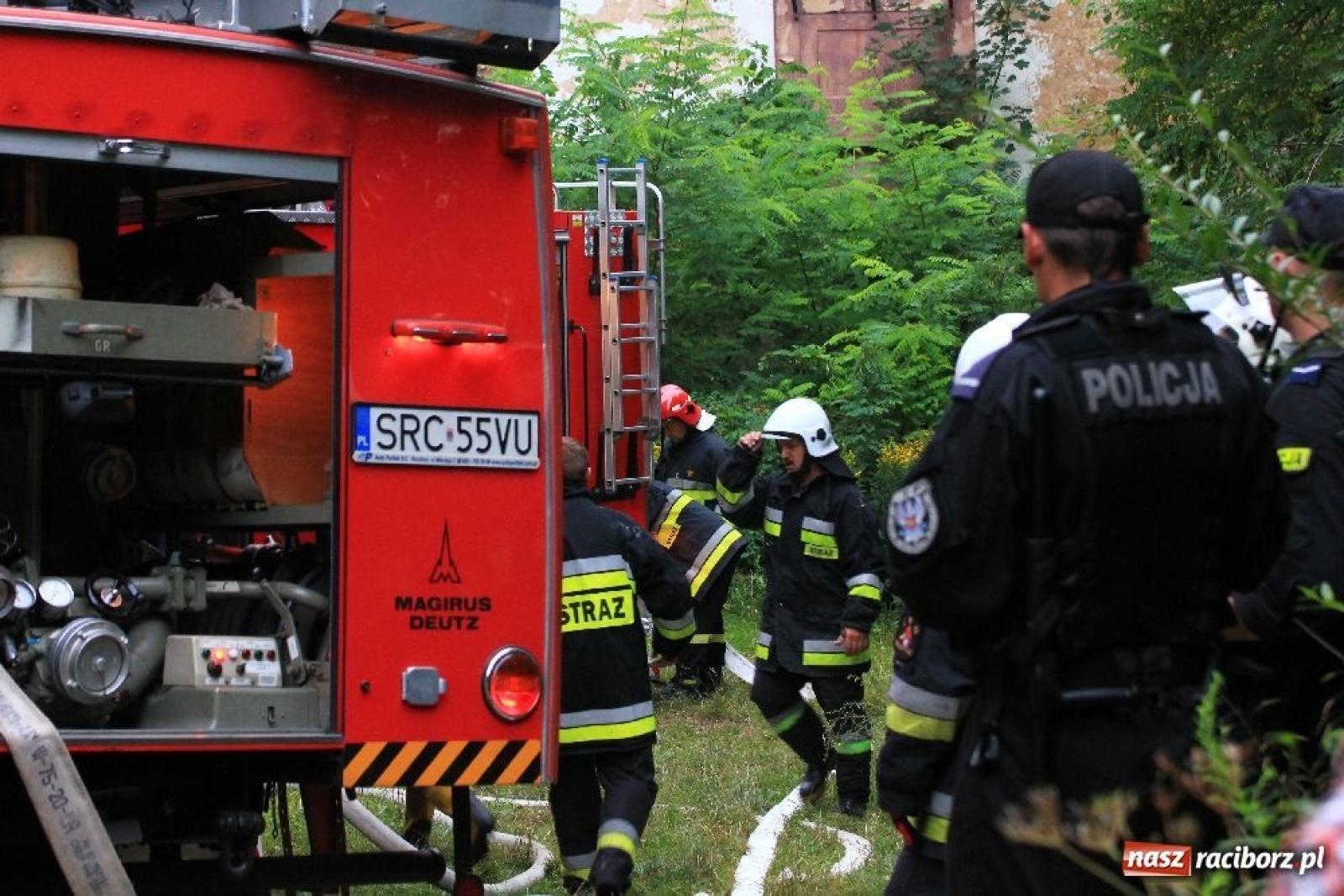 Zdjęcie w galerii na portalu naszraciborz.pl: Gruzowisko uprzątnięte. W lesie Widok ma ruszyć budowa wiadomości z regionu