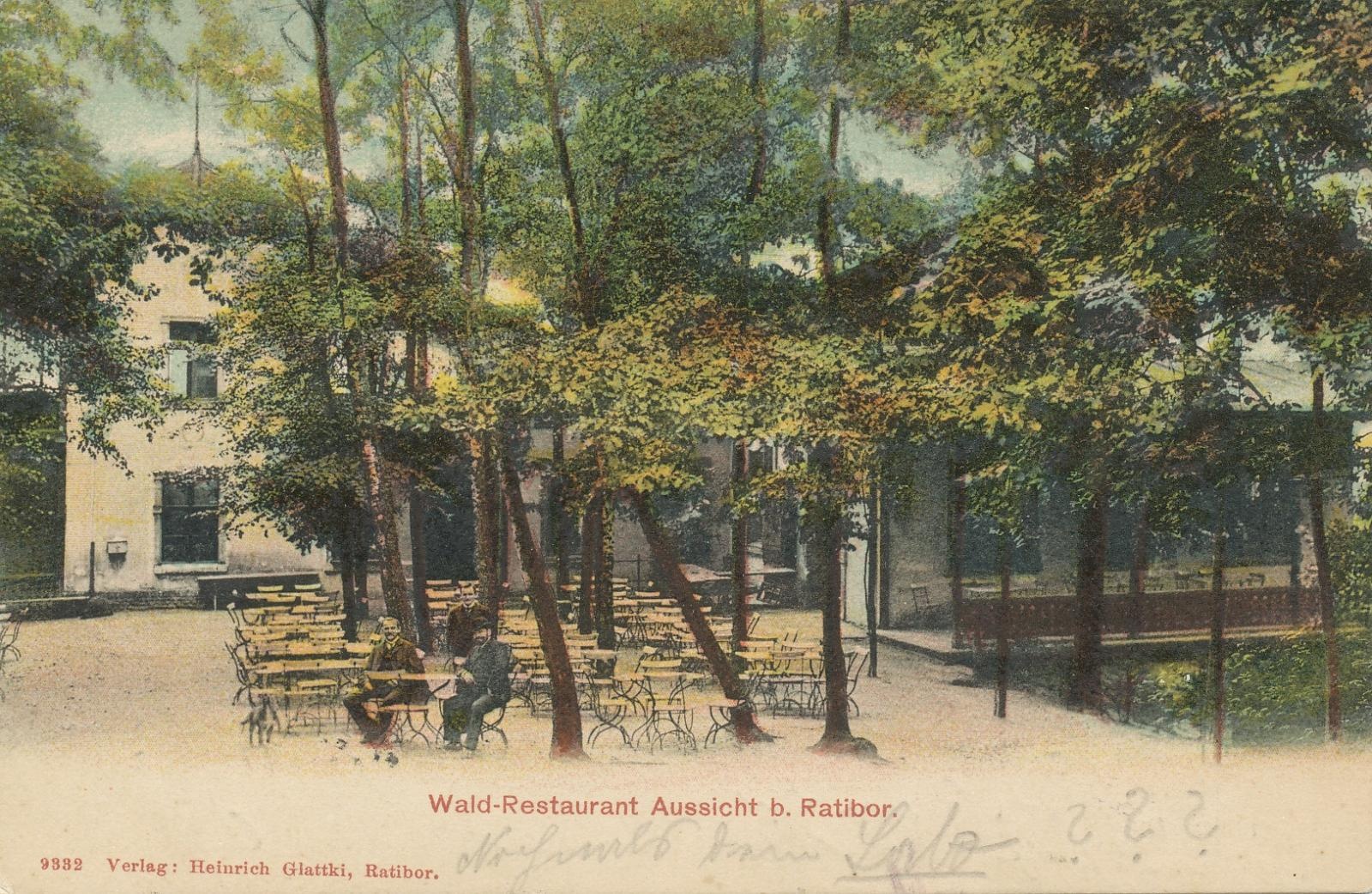 Zdjęcie w galerii na portalu naszraciborz.pl: Gruzowisko uprzątnięte. W lesie Widok ma ruszyć budowa wiadomości z regionu