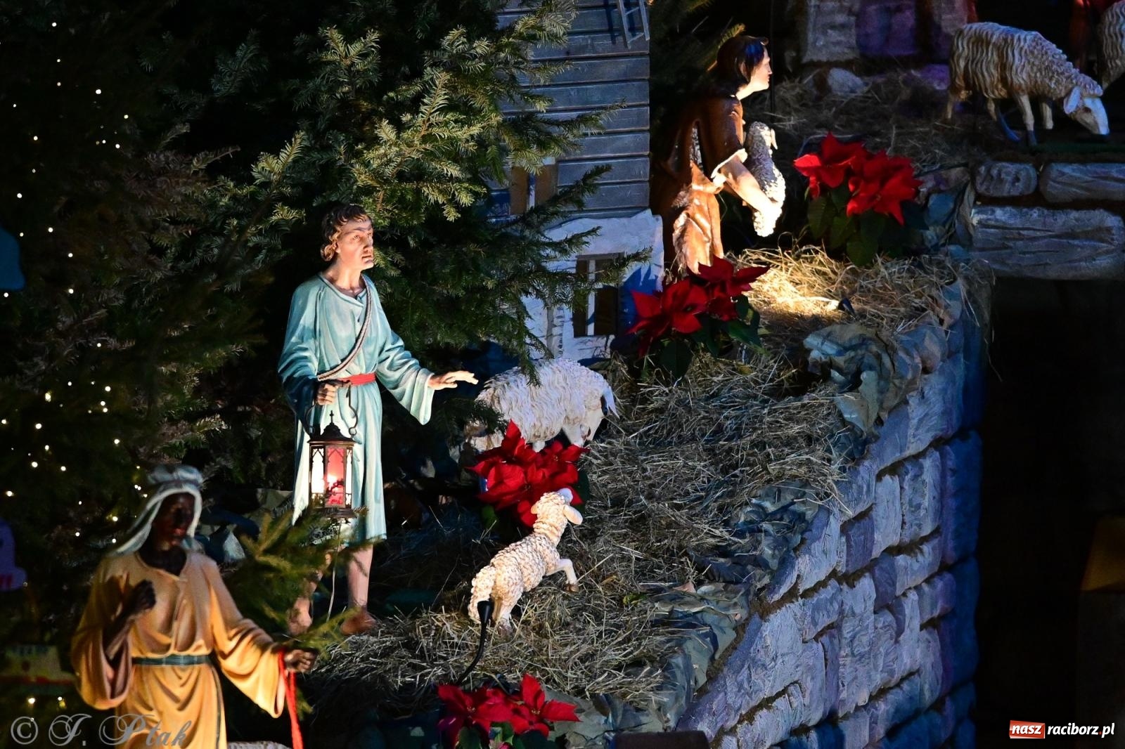 Zdjęcie w galerii na portalu naszraciborz.pl: Kolędowanie z zespołem Obdarowani na Płoni wiadomości z regionu