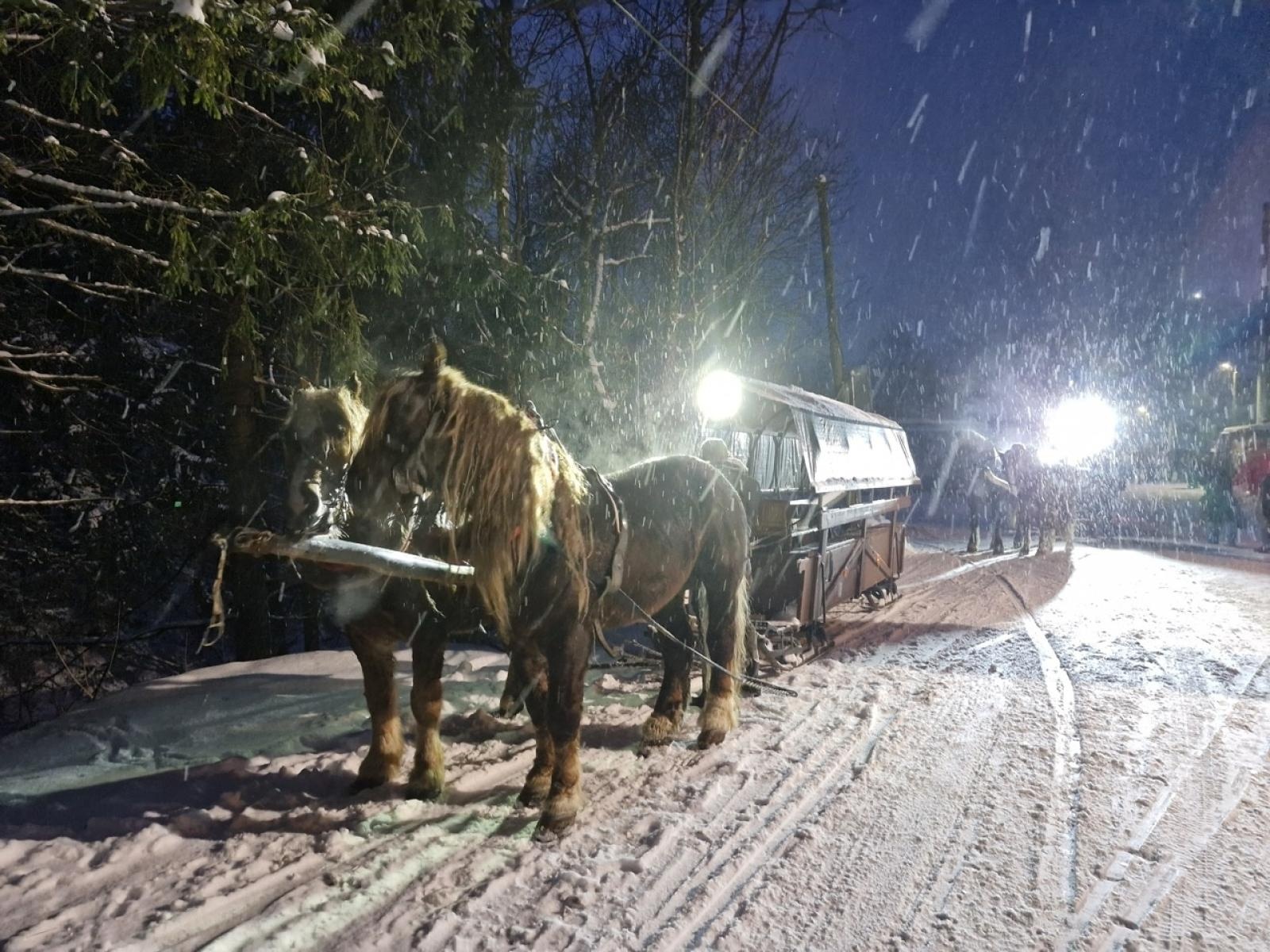 Zdjęcie w galerii na portalu naszraciborz.pl: Kulig w Wiśle-Czarne zorganizowany przez PTTK Oddział Racibórz – zimowa przygoda pełna wiadomości z regionu