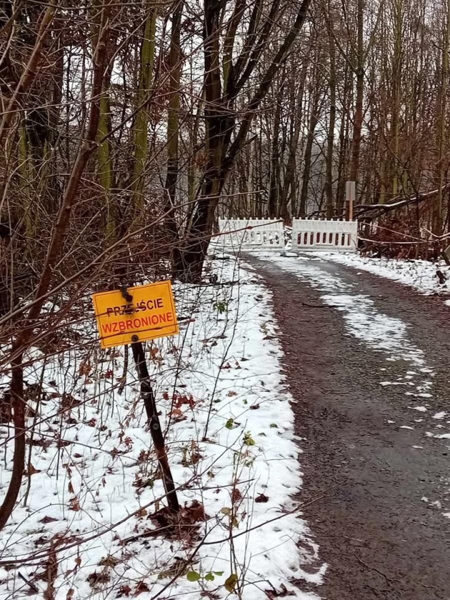 Zdjęcie w galerii na portalu naszraciborz.pl: Czasowe zamknięcie fragmentu szlaku turystycznego w rezerwacie przyrody Łężczok wiadomości z regionu