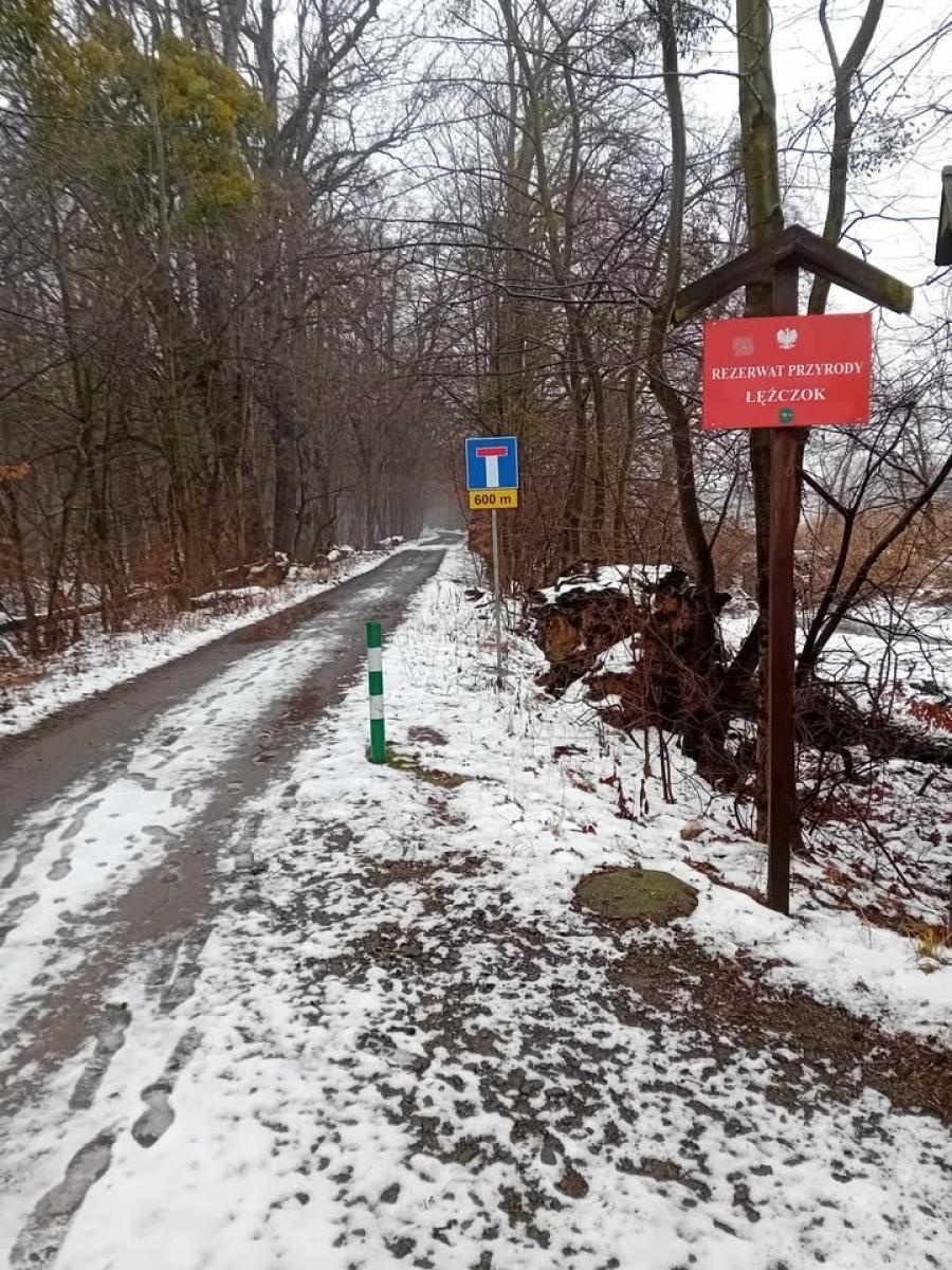 Zdjęcie w galerii na portalu naszraciborz.pl: Czasowe zamknięcie fragmentu szlaku turystycznego w rezerwacie przyrody Łężczok wiadomości z regionu