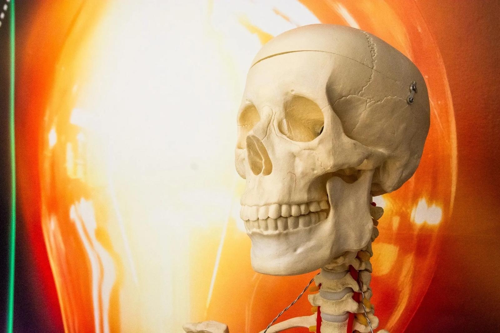 Zdjęcie w galerii na portalu naszraciborz.pl: Badacze na start! Zielona pracownia w Ocicach sprawdza się w ekoedukacji wiadomości z regionu