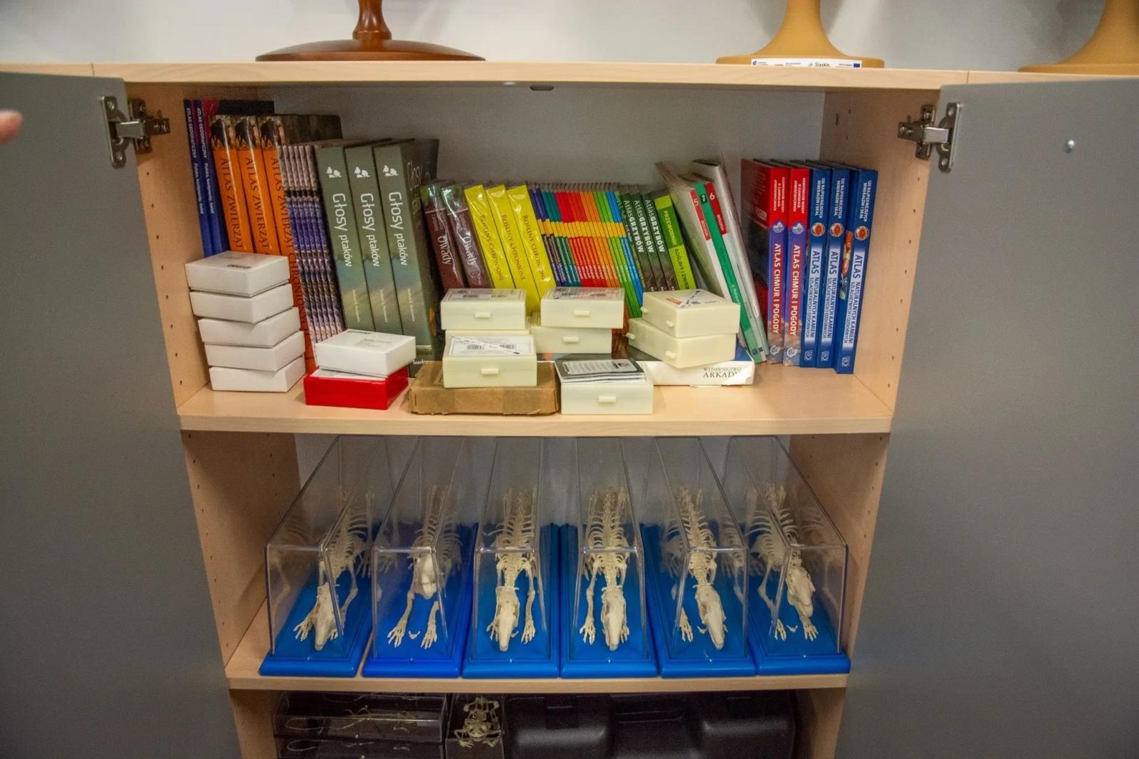 Zdjęcie w galerii na portalu naszraciborz.pl: Badacze na start! Zielona pracownia w Ocicach sprawdza się w ekoedukacji wiadomości z regionu