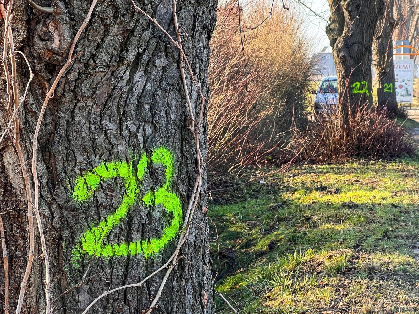 Zdjęcie w galerii na portalu naszraciborz.pl: Ruszyła budowa nowego parku handlowego w Raciborzu [FOTO i WIDEO] wiadomości z regionu