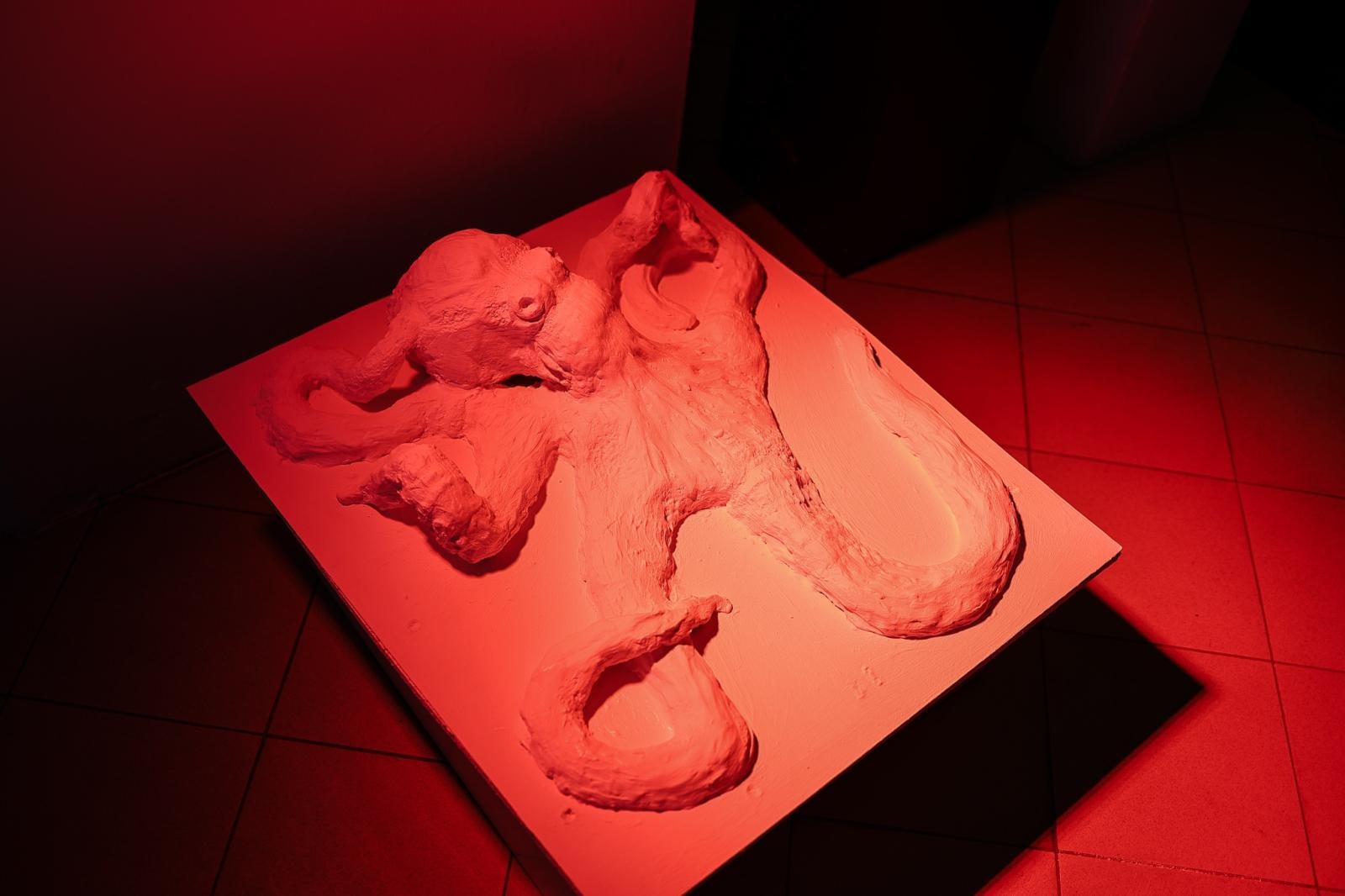 Zdjęcie w galerii na portalu naszraciborz.pl: Wernisaż wystawy Pracowni Rzeźby RCK w dawnym Labiryncie wiadomości z regionu