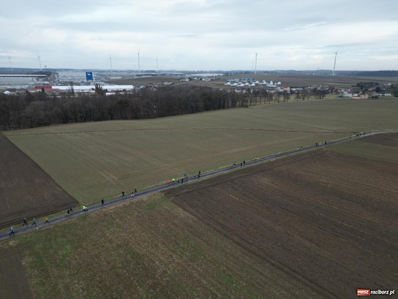 Zdjęcie w galerii na portalu naszraciborz.pl: IX Eko Cross po Ziemi Pietrowickiej: Piotr Pałka zwycięzcą biegu na 10 km wiadomości z regionu