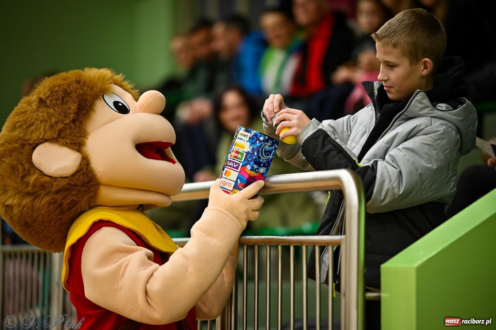 Zdjęcie w galerii na portalu naszraciborz.pl: 33. Finał WOŚP Racibórz – charytatywny turniej koszykówki z olimpijczykami wiadomości z regionu