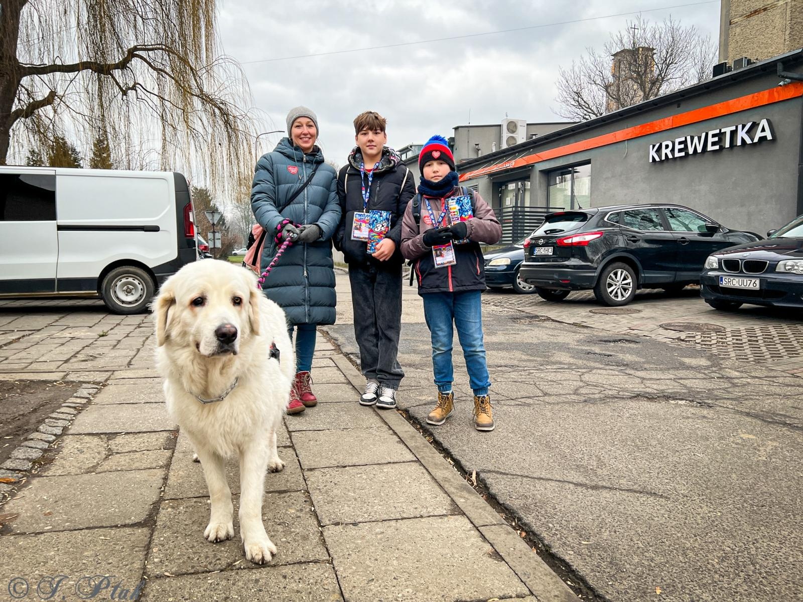 Zdjęcie w galerii na portalu naszraciborz.pl: Ponad stu wolontariuszy kwestuje na ulicach Raciborza wiadomości z regionu