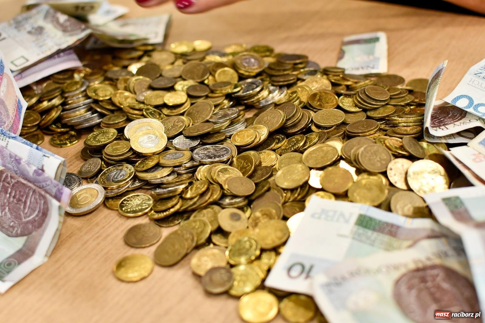 Zdjęcie w galerii na portalu naszraciborz.pl: Znów idziemy na rekord! WOŚP w Raciborzu zebrała już ponad 210 tys. zł [FOTO i WIDEO] wiadomości z regionu